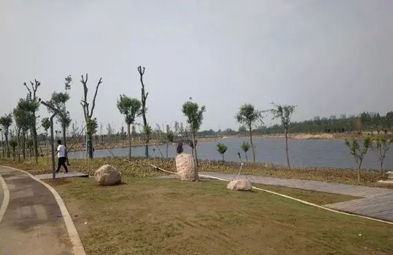 新乡南湖公园旅行图片 2