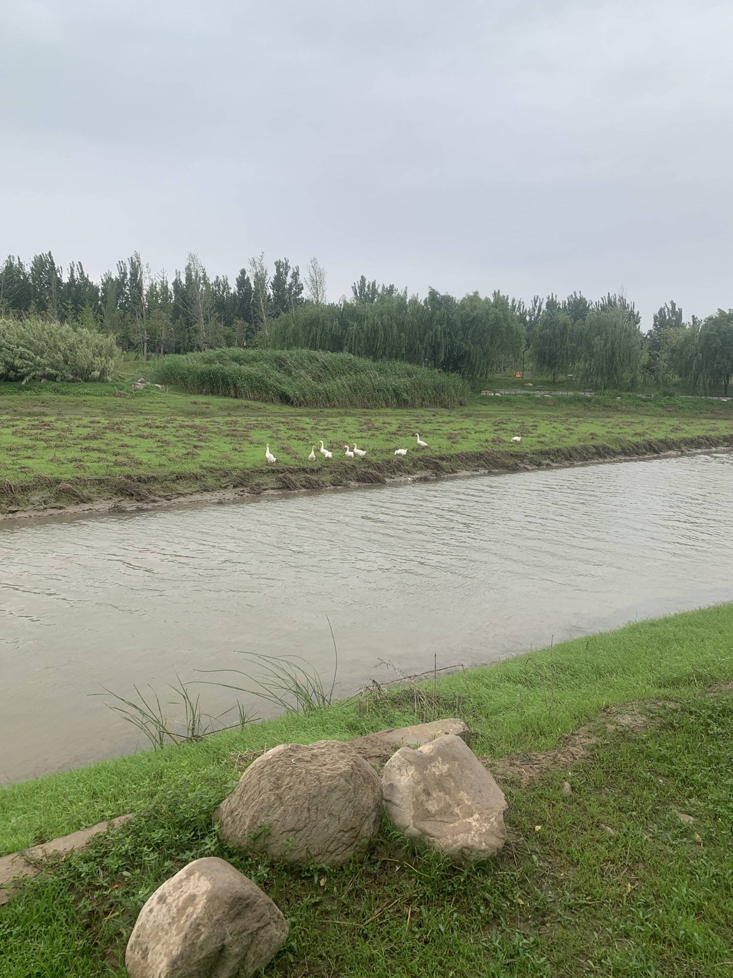 新乡南湖公园旅行图片 3