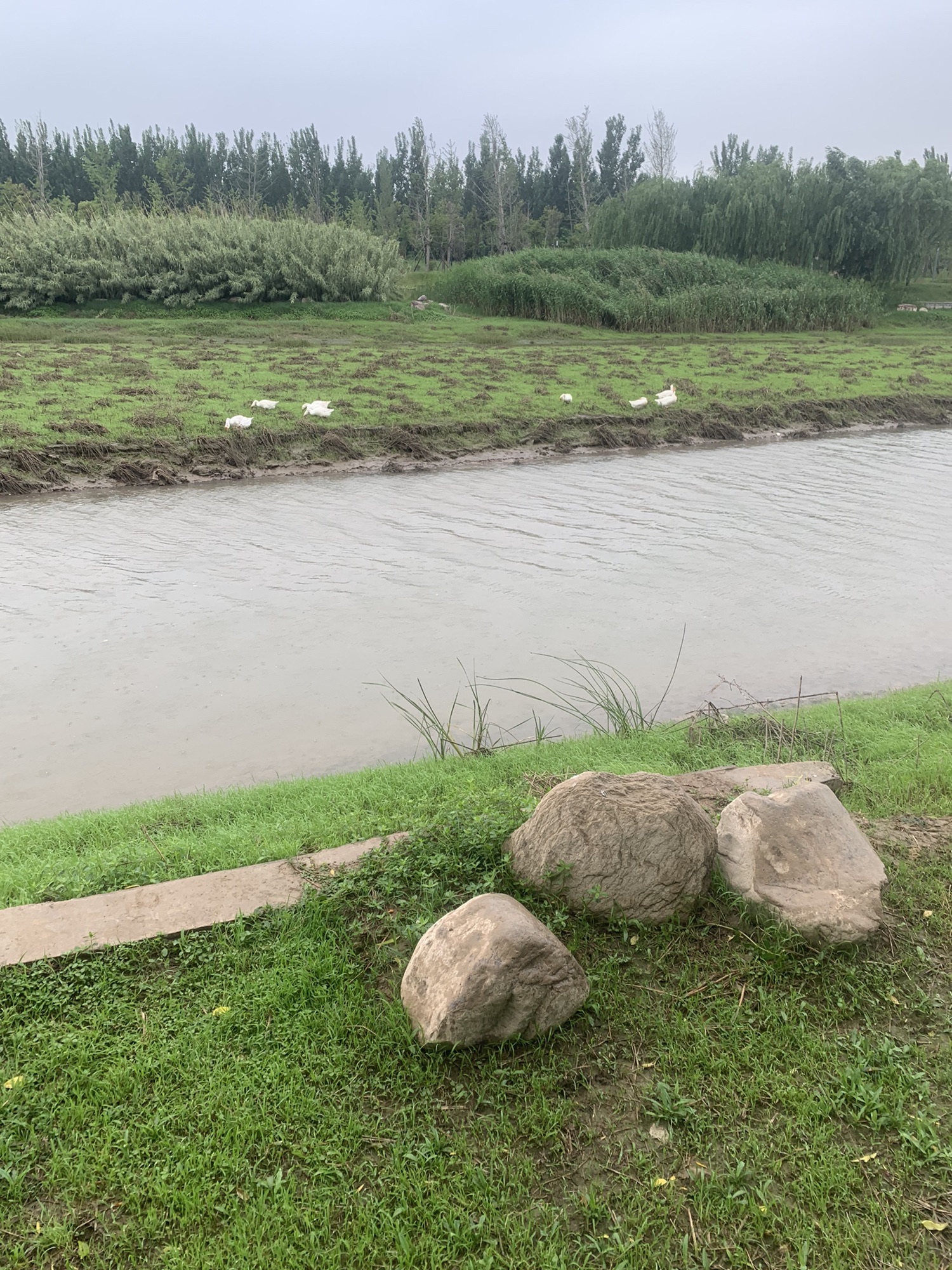 新乡南湖公园旅行图片 1