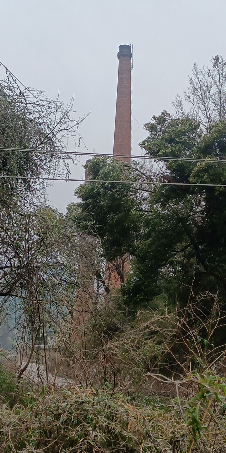 珠晖山地森林公园旅行图片 2