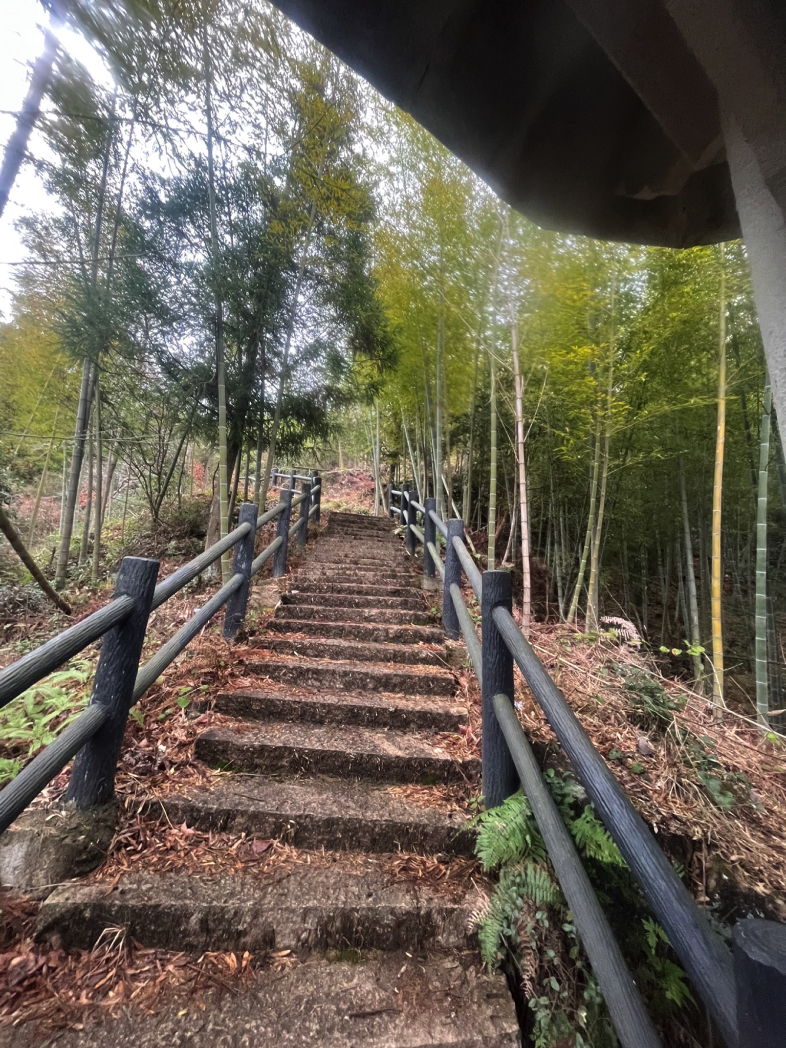 荡岩亭旅行图片 1