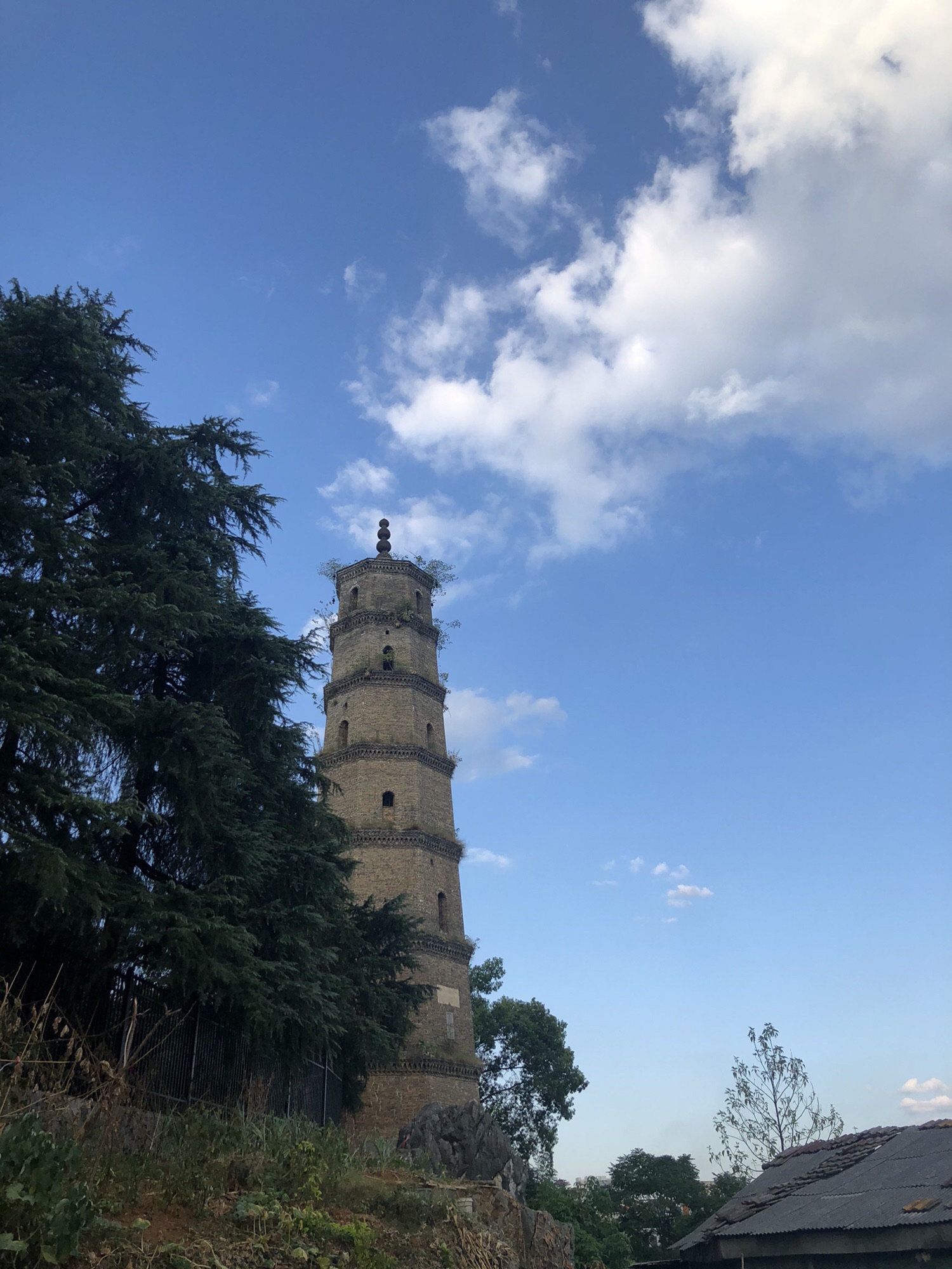 凌云塔旅行图片 2