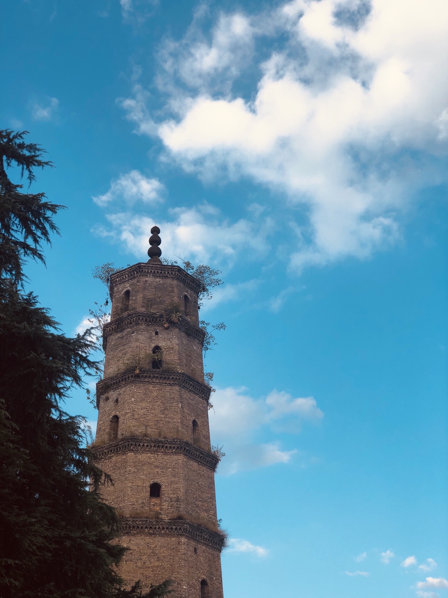 凌云塔旅行图片 3