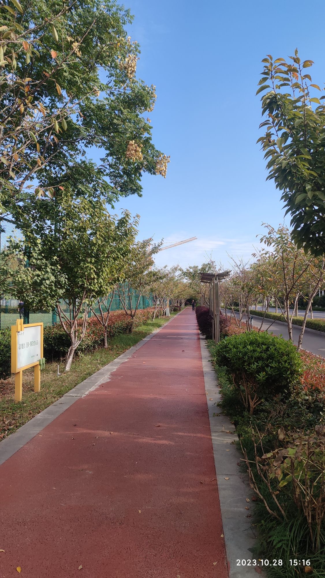 和平文化体育公园旅行图片 2
