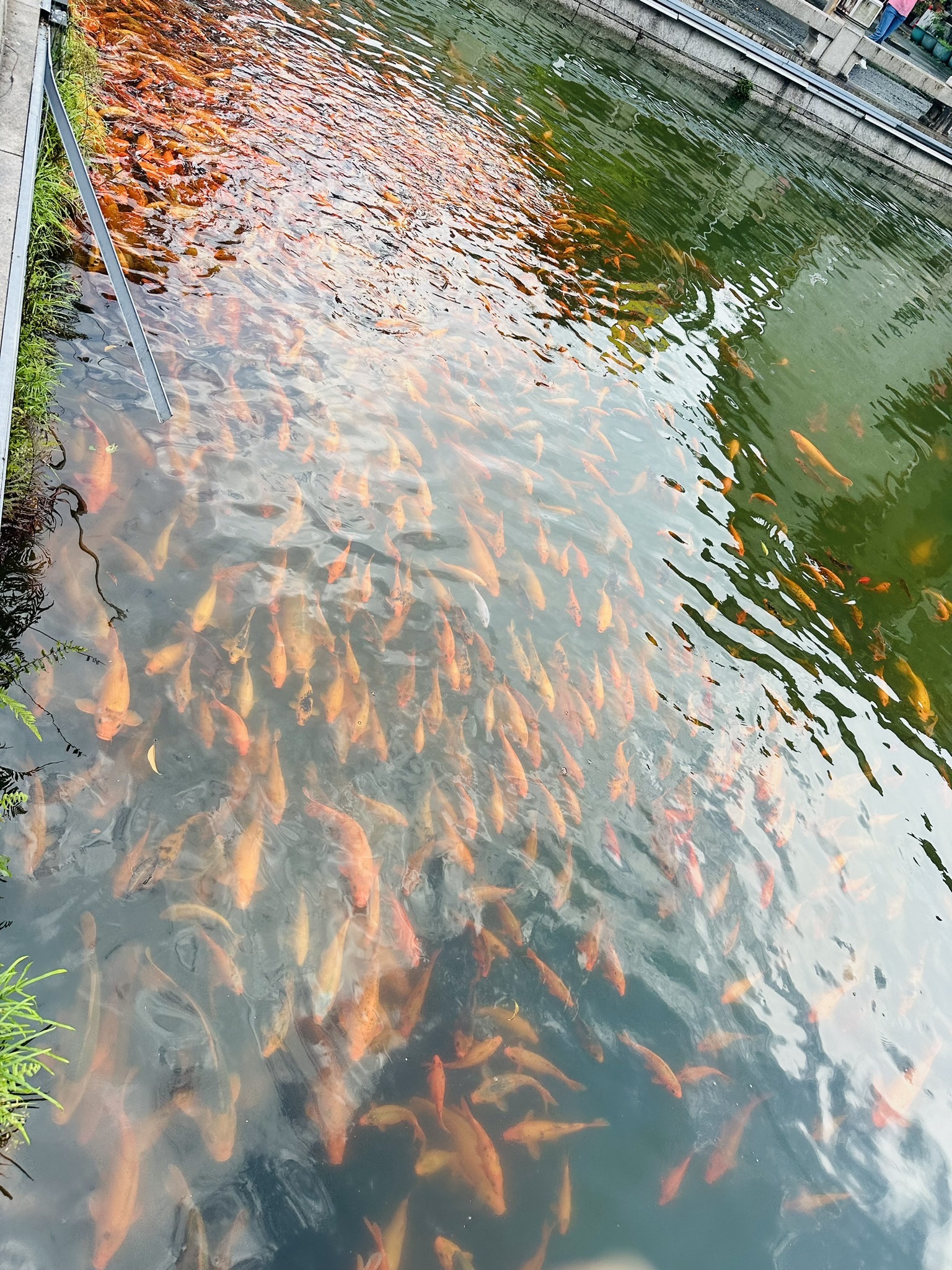 畲乡风情街旅行图片 3