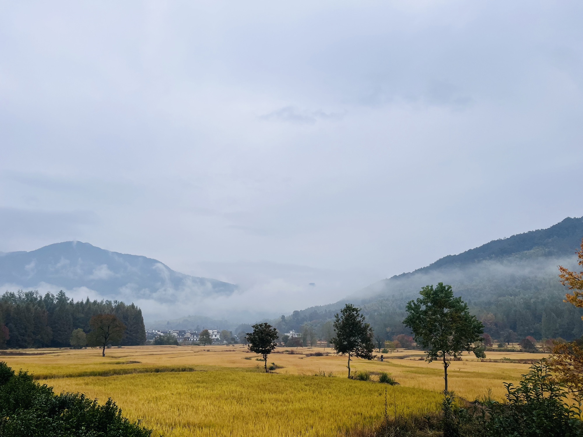 竹行公园旅行图片 2