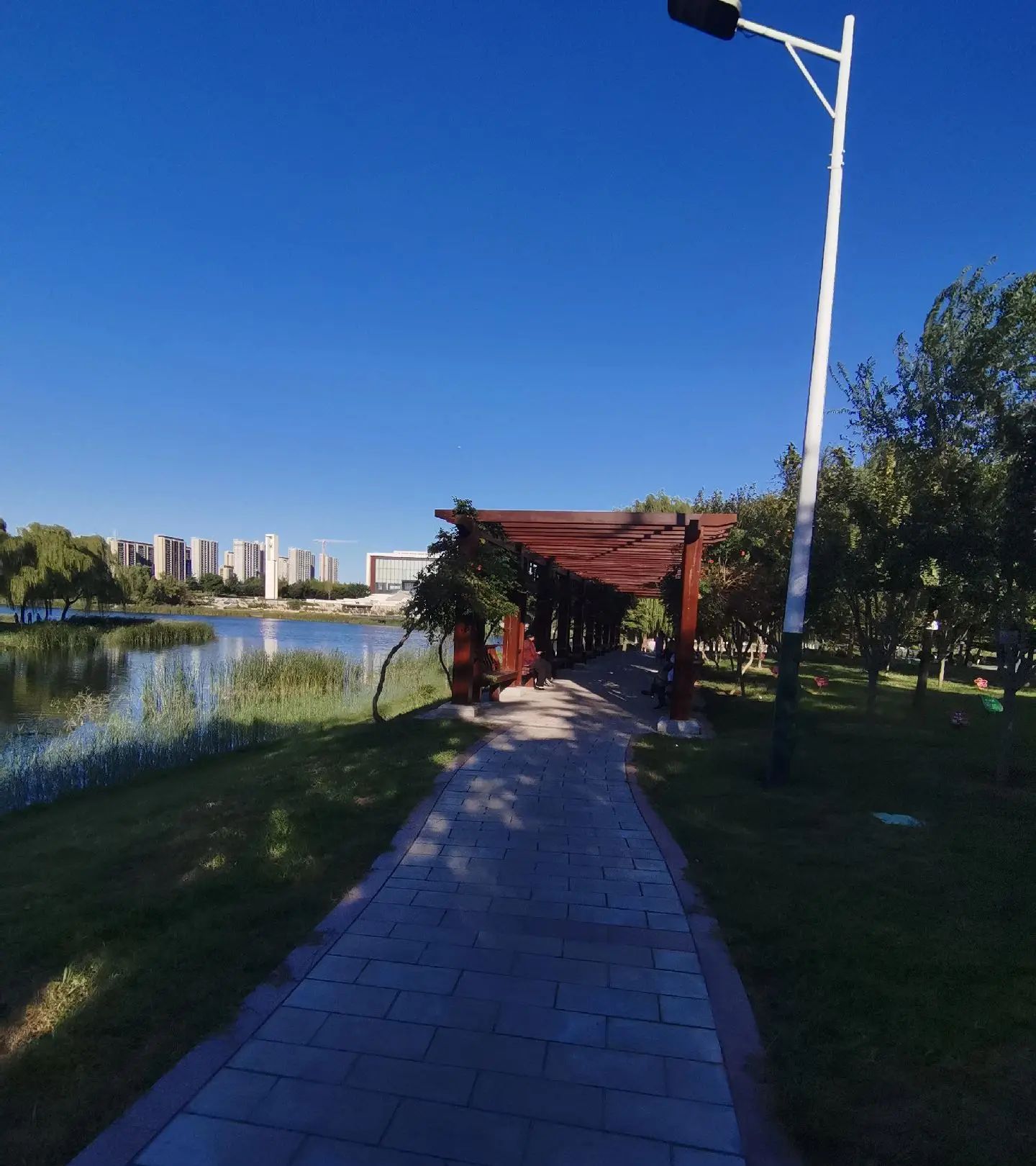 卫蒲公园旅行图片 1