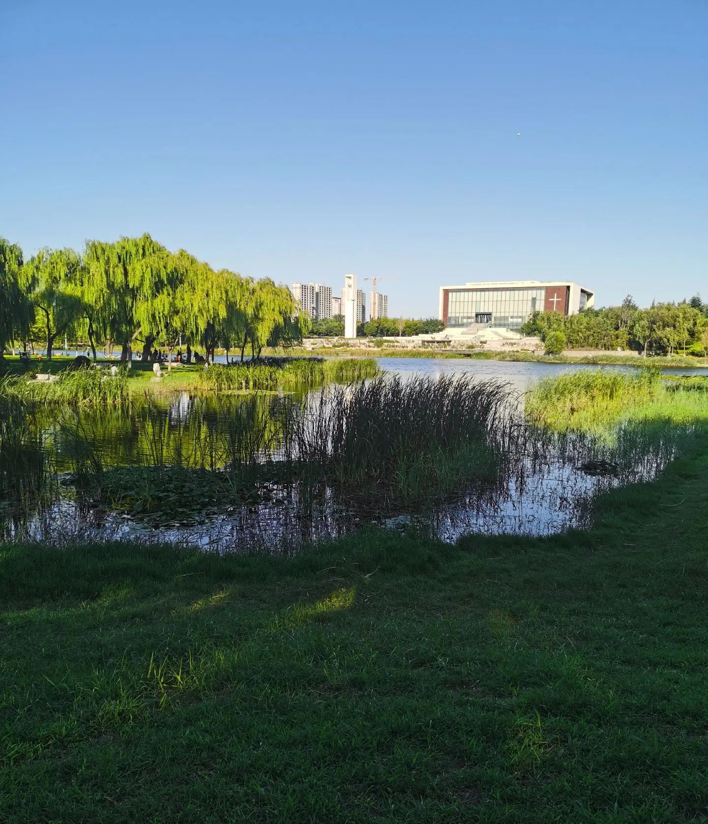 卫蒲公园旅行图片 2