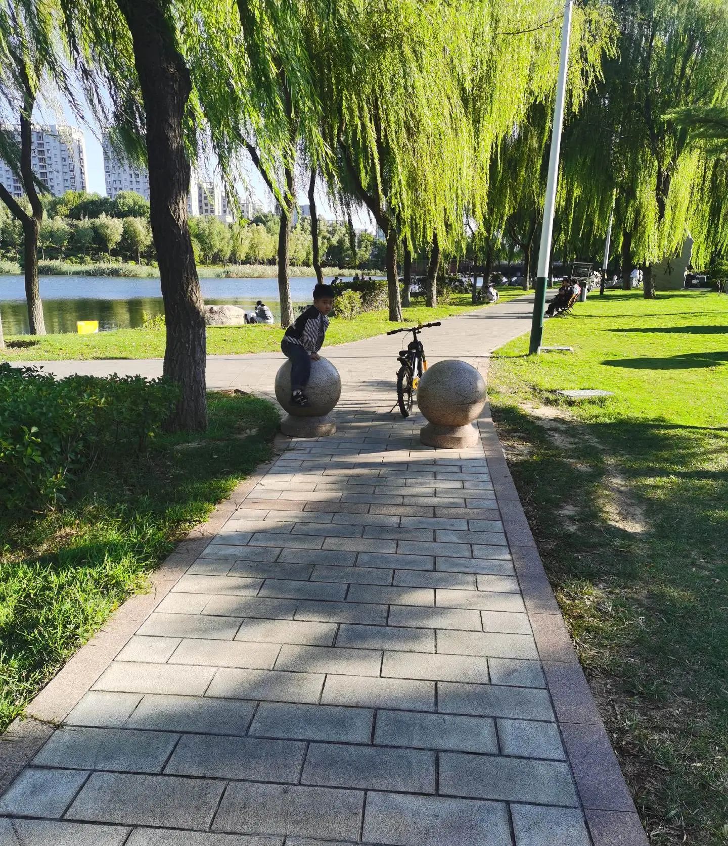 卫蒲公园旅行图片 3