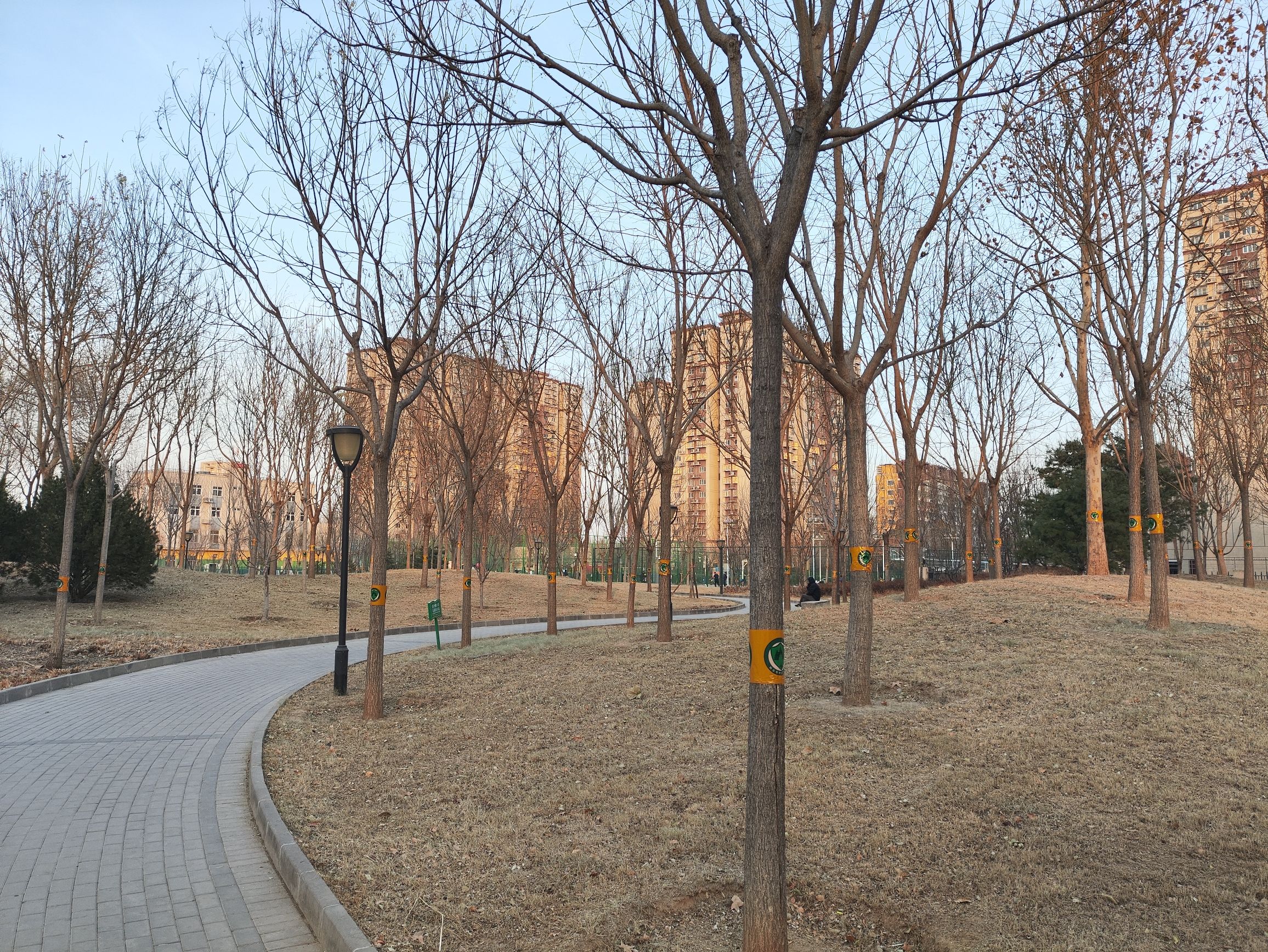 广阳城森林公园旅行图片 2