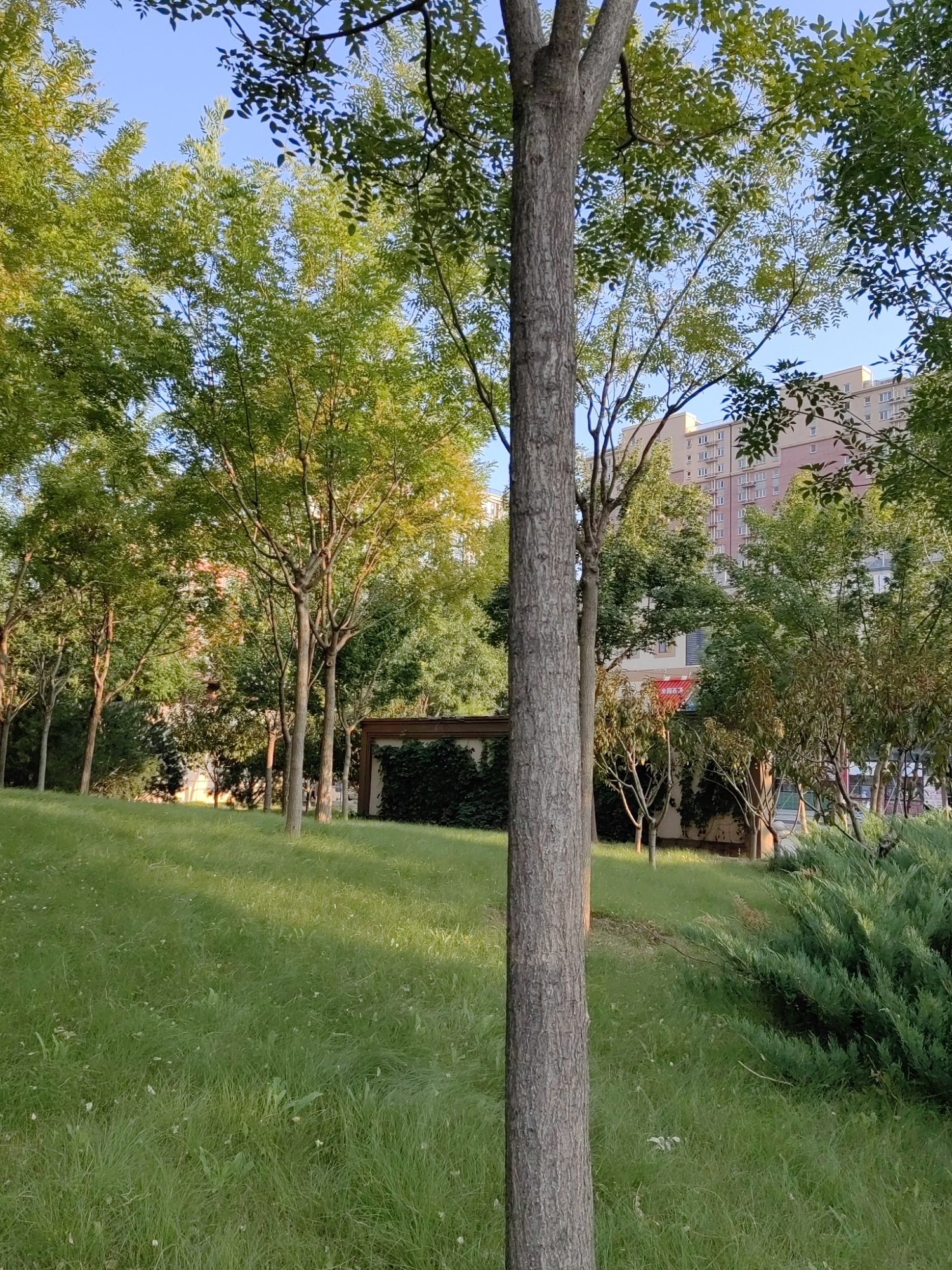 广阳城森林公园旅行图片 3