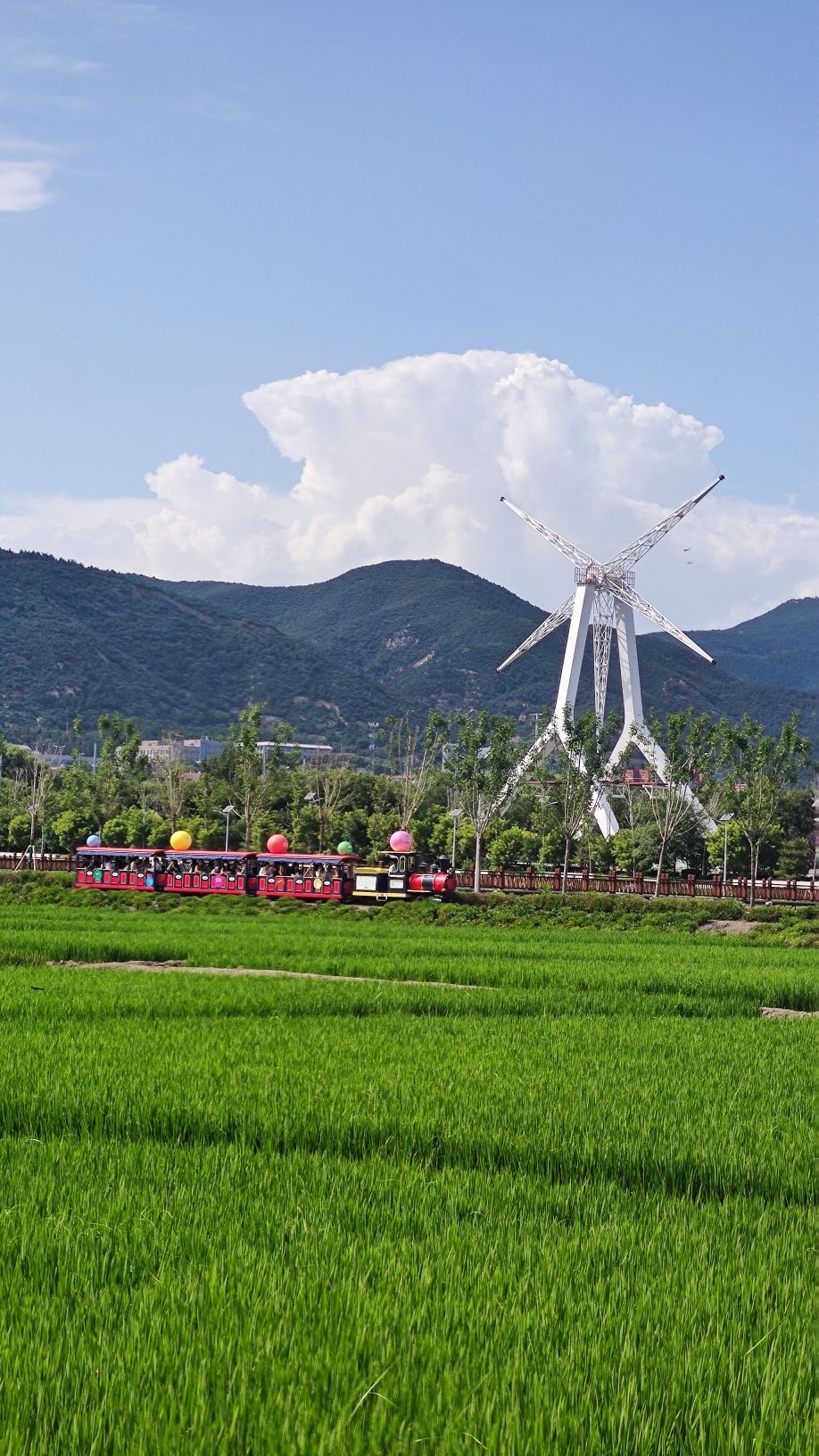 太原康培稻田公园旅行图片 1