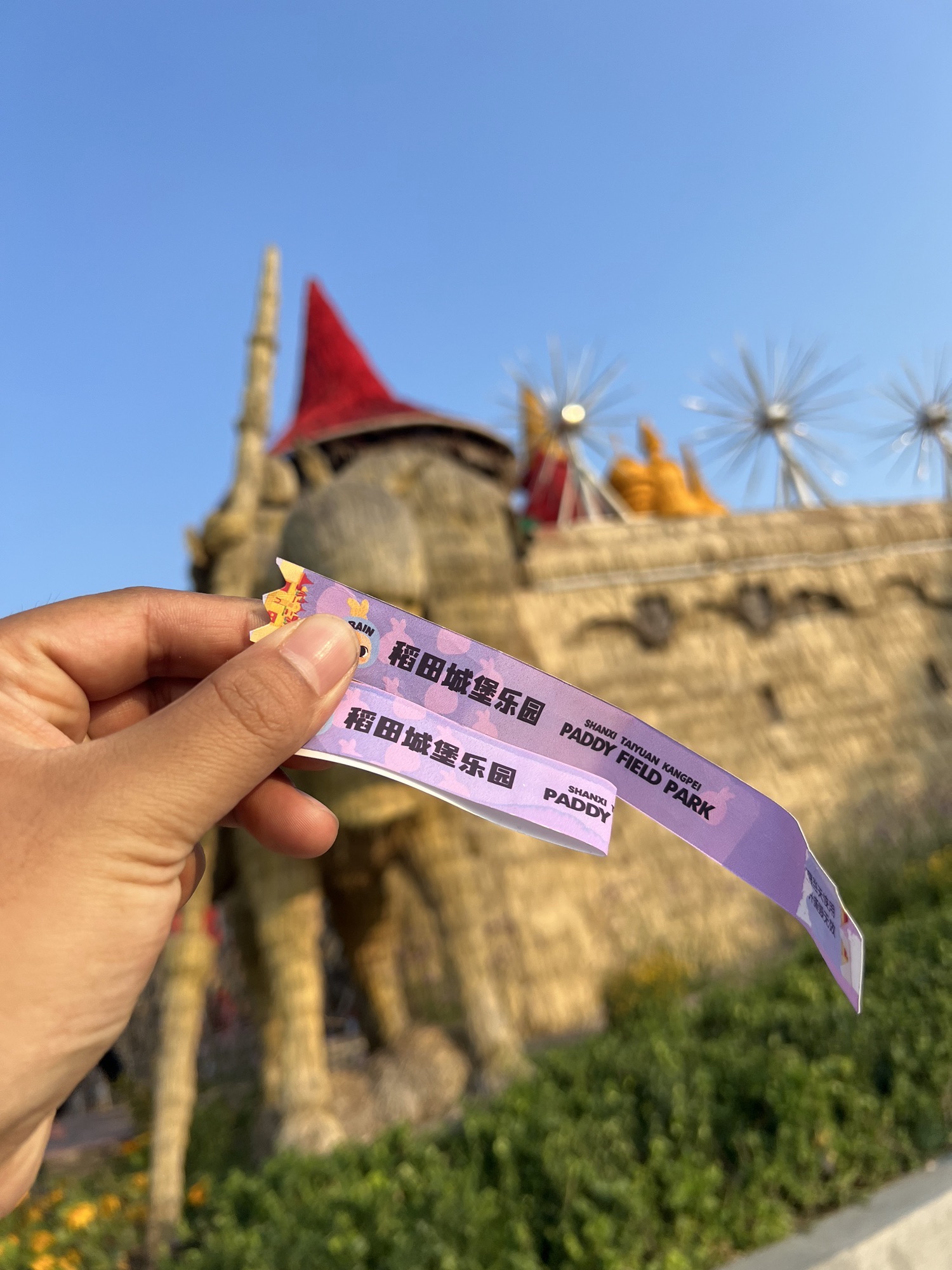 太原康培稻田公园旅行图片 3