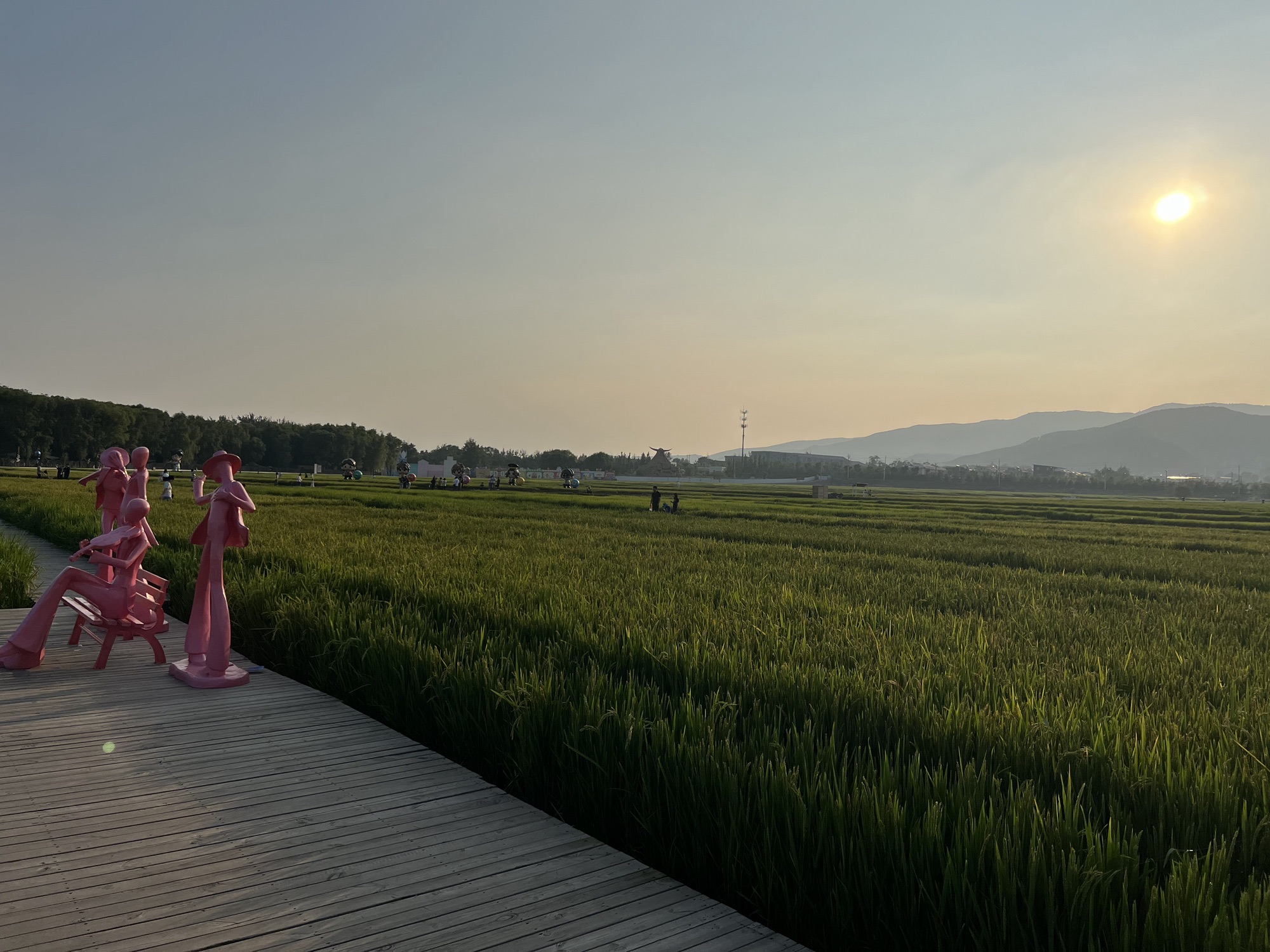 太原康培稻田公园旅行图片 2