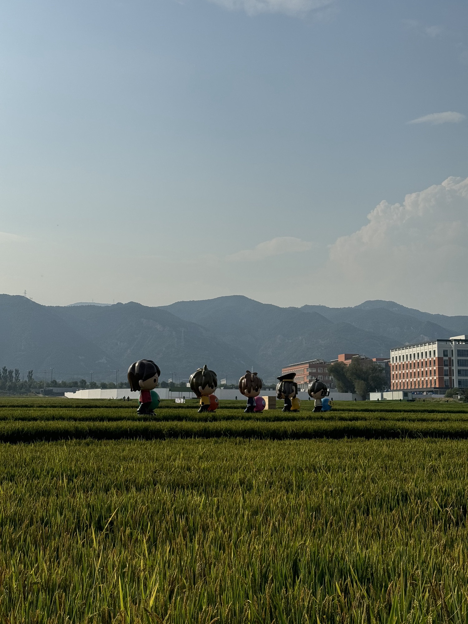 太原康培稻田公园旅行图片 3