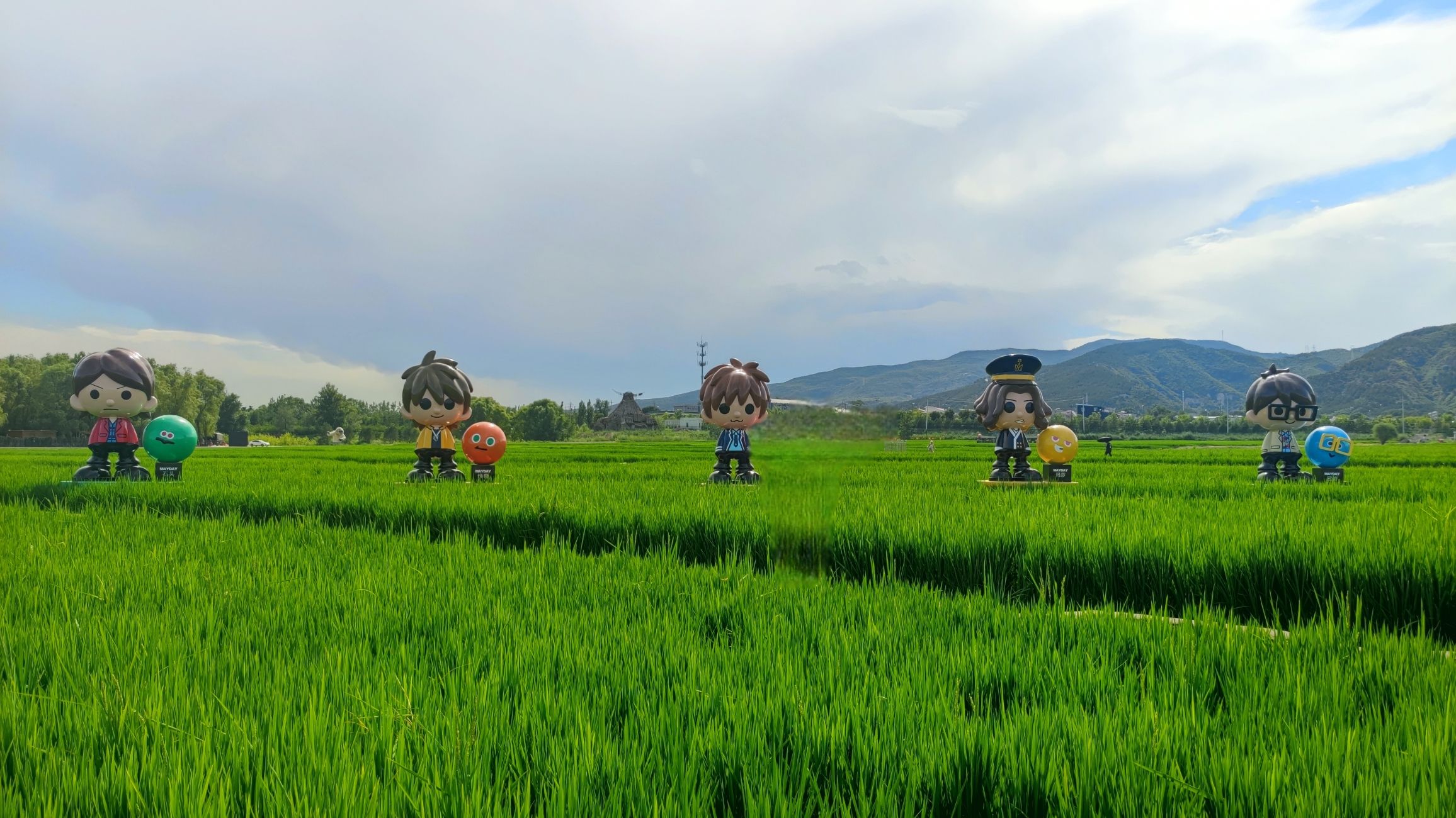 太原康培稻田公园旅行图片 2
