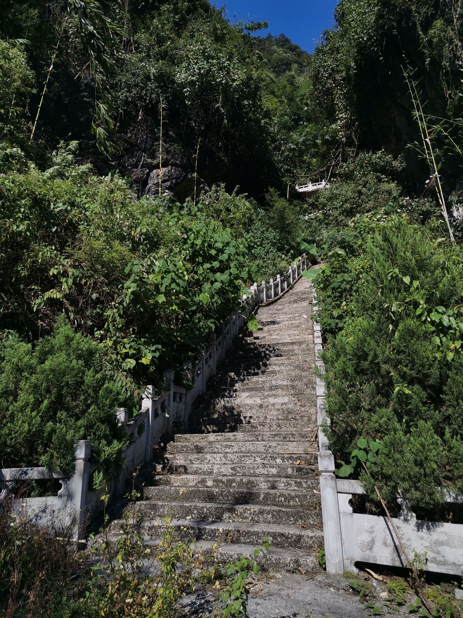 广西马山县观音洞景区旅行图片 2