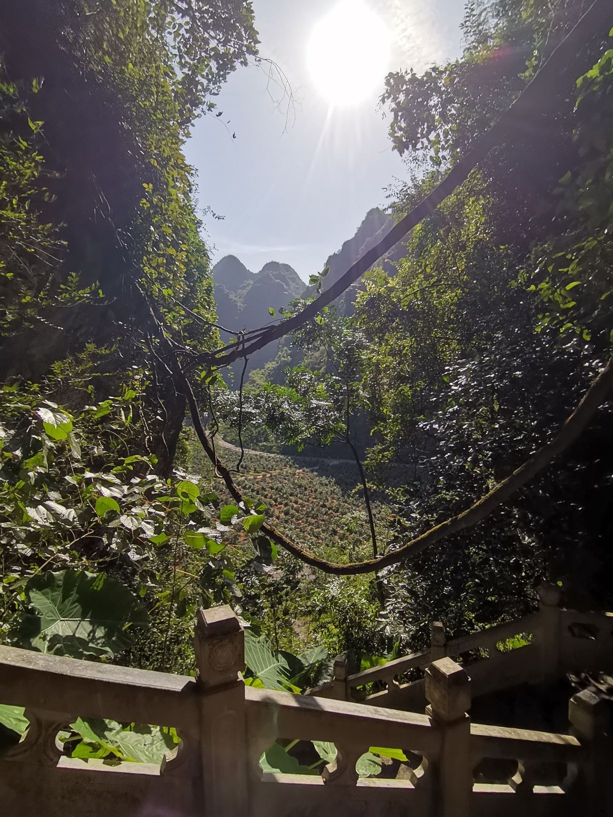广西马山县观音洞景区旅行图片 3