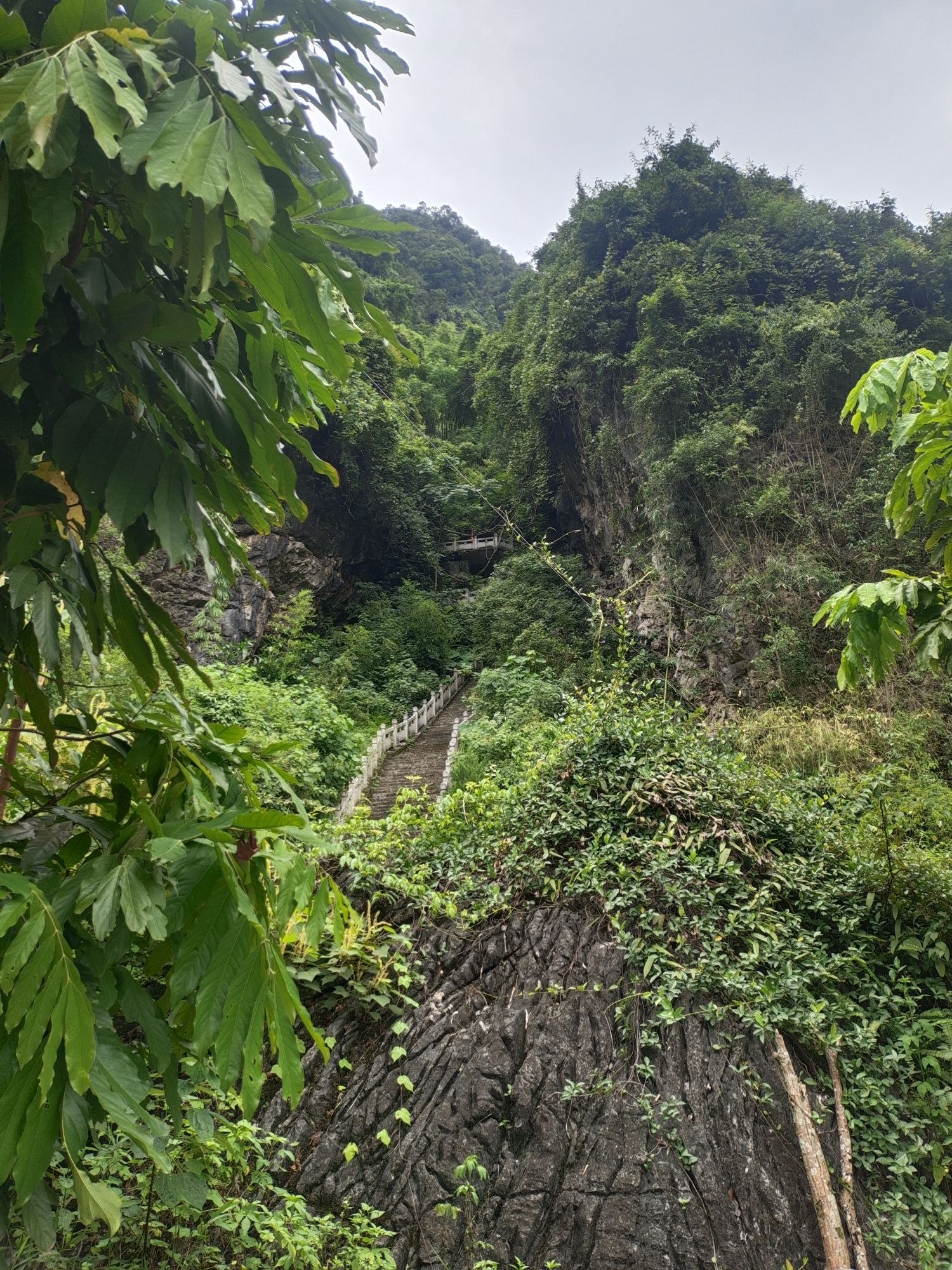 广西马山县观音洞景区旅行图片 3
