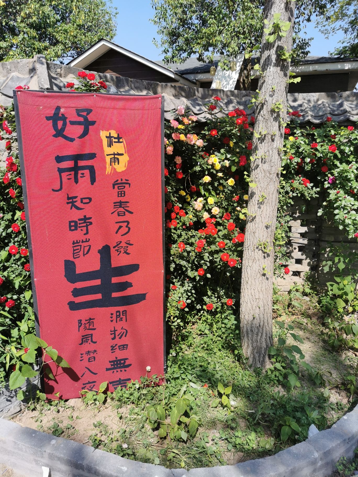 润耕天下风景区旅行图片 2