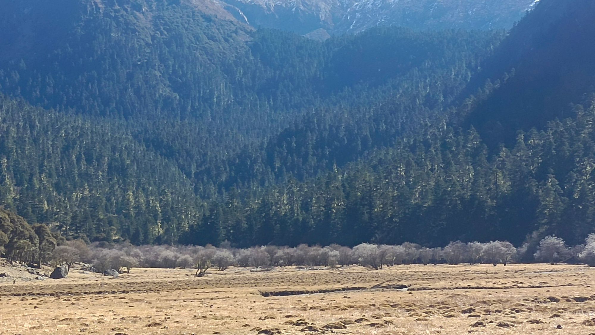 上团乡大草坝旅行图片 2