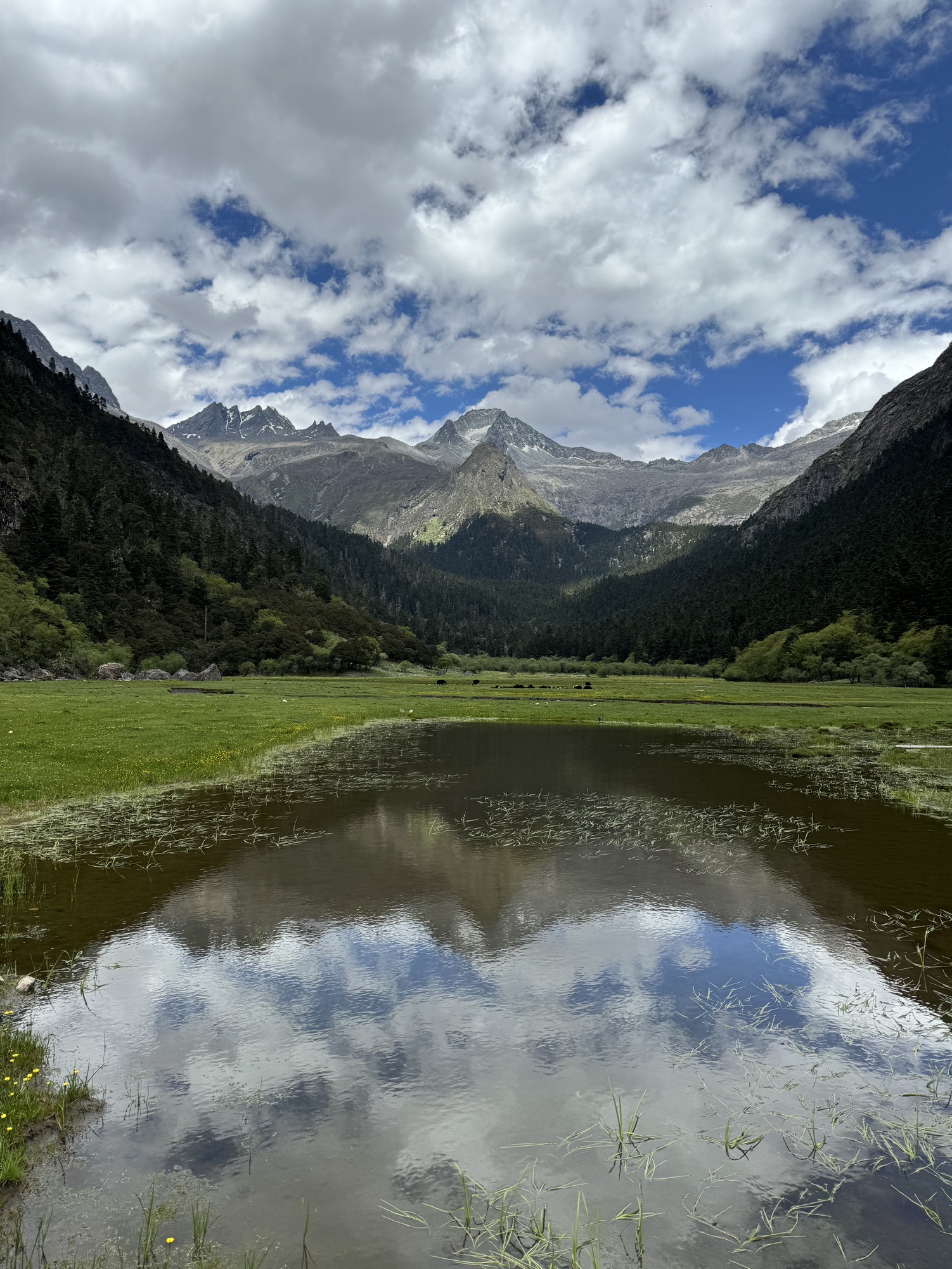 上团乡大草坝旅行图片 3