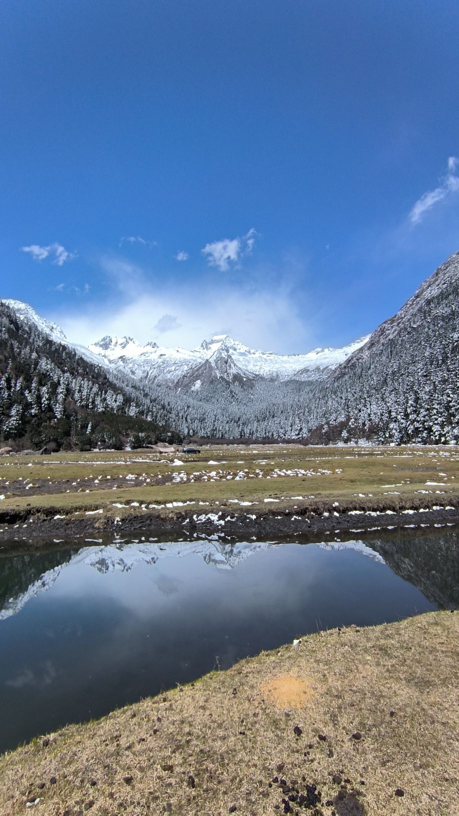 上团乡大草坝旅行图片 3
