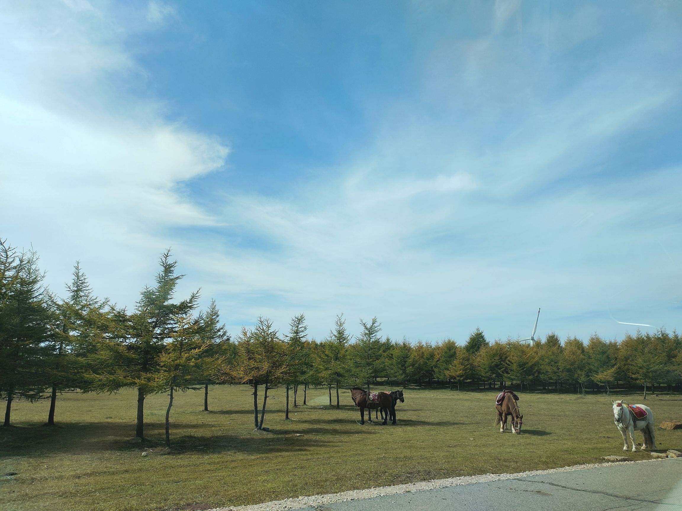 空中草原(暂停开放)旅行图片 1