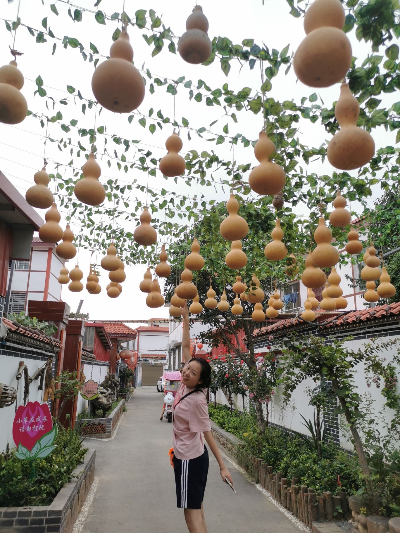白庙文化广场旅行图片 3