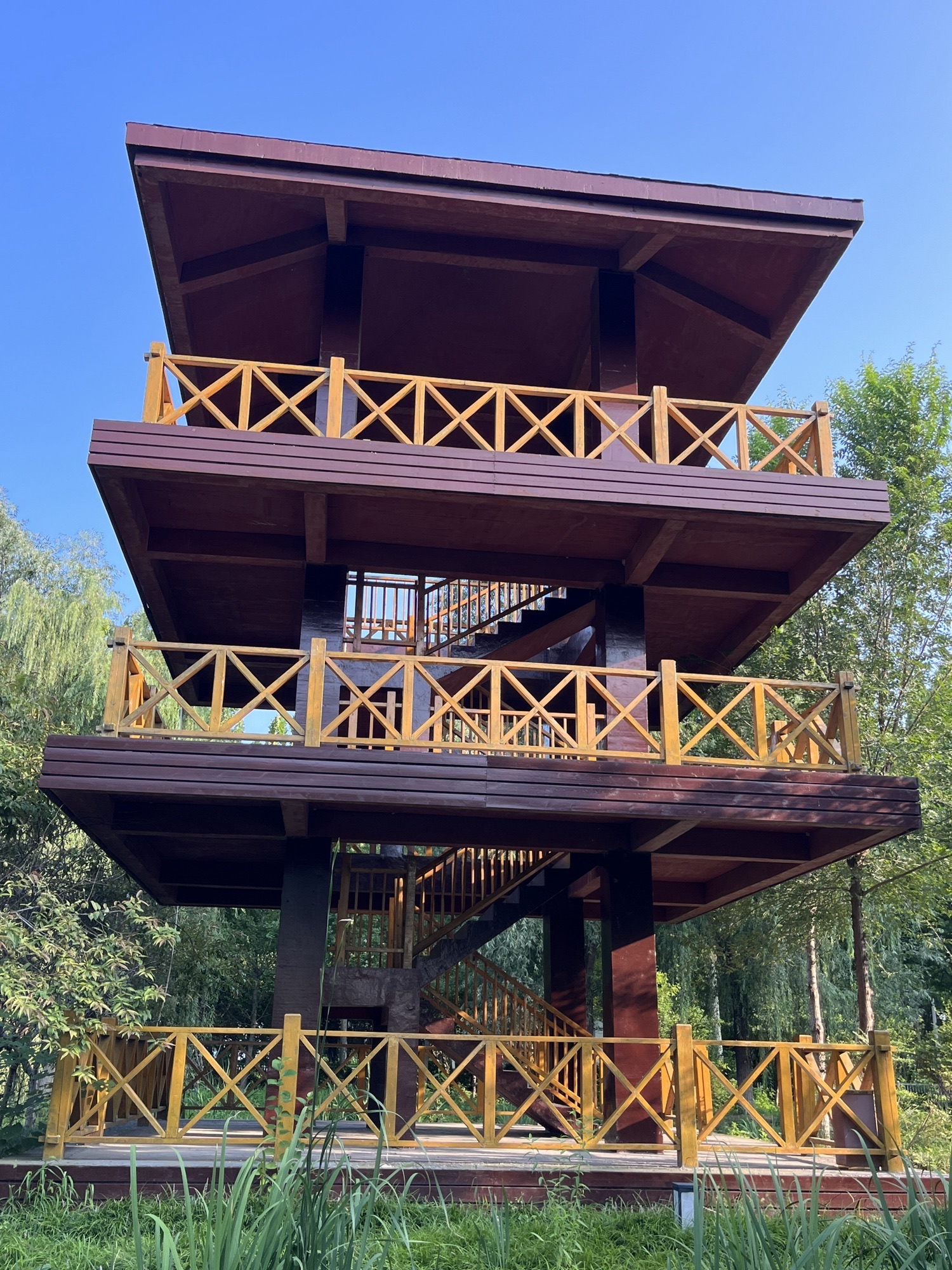 乌河入湖口湿地公园旅行图片 3