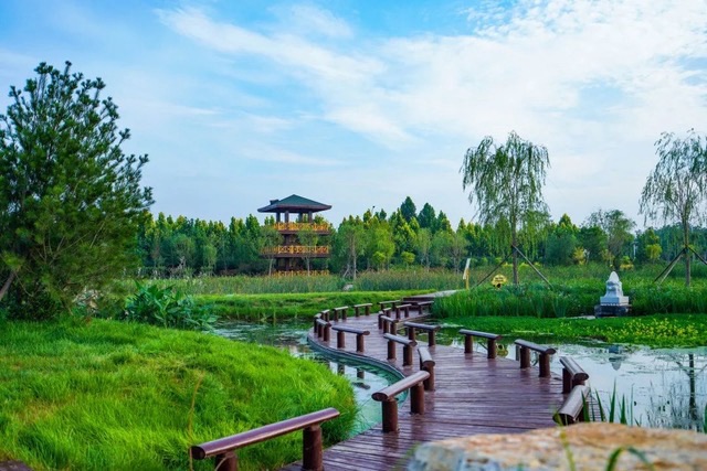 乌河入湖口湿地公园旅行图片 3