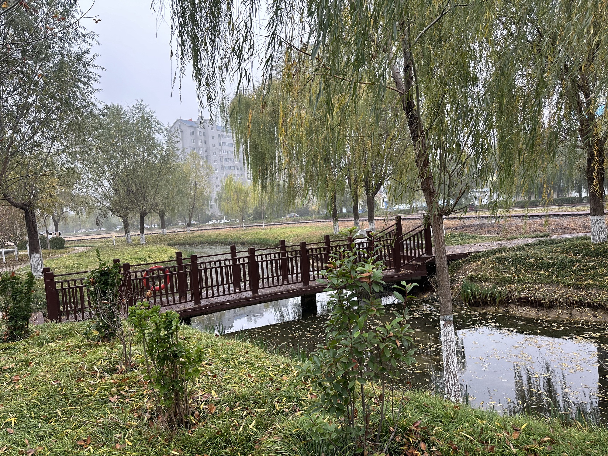 乌河入湖口湿地公园旅行图片 2