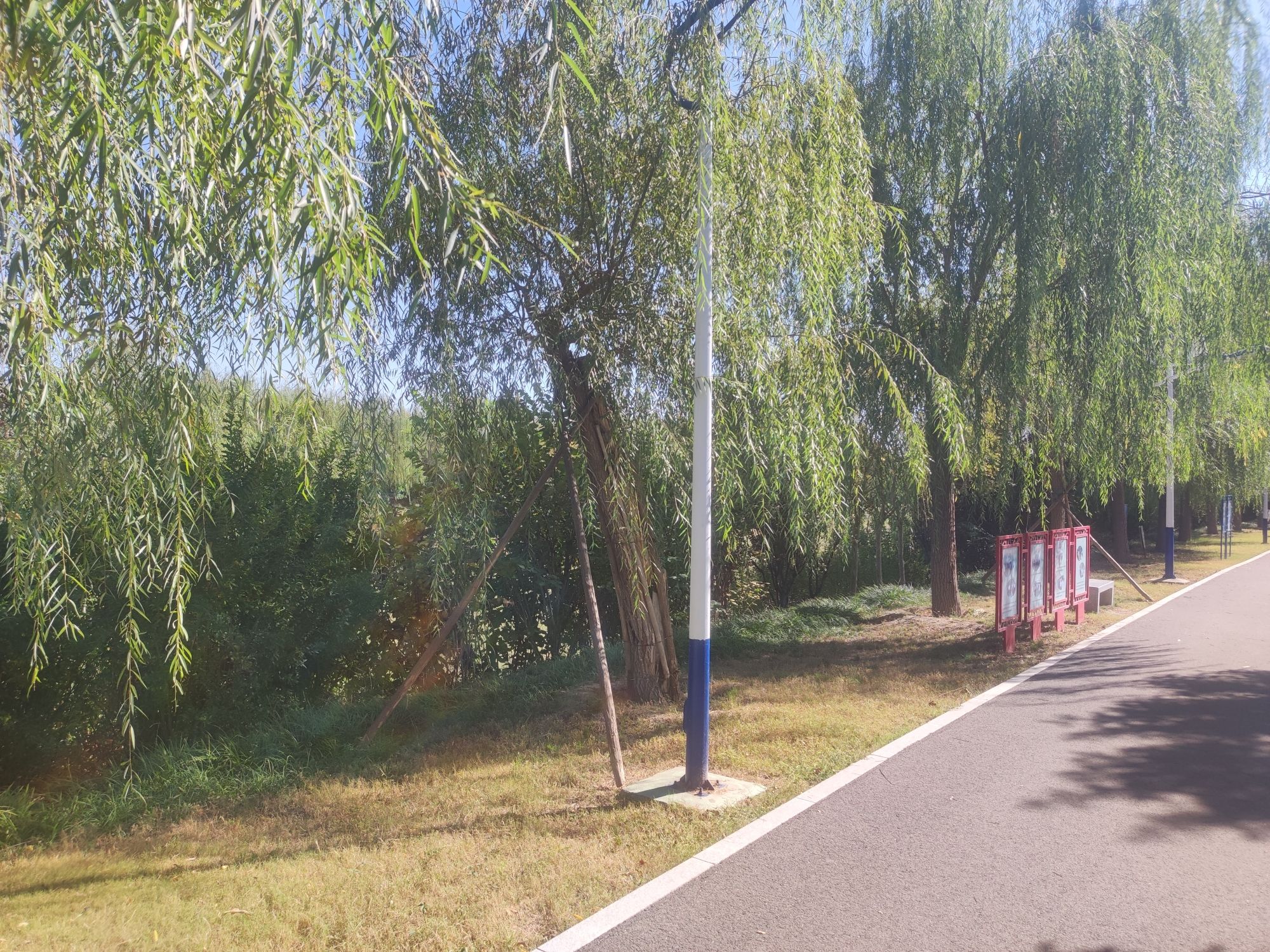 乌河入湖口湿地公园旅行图片 2