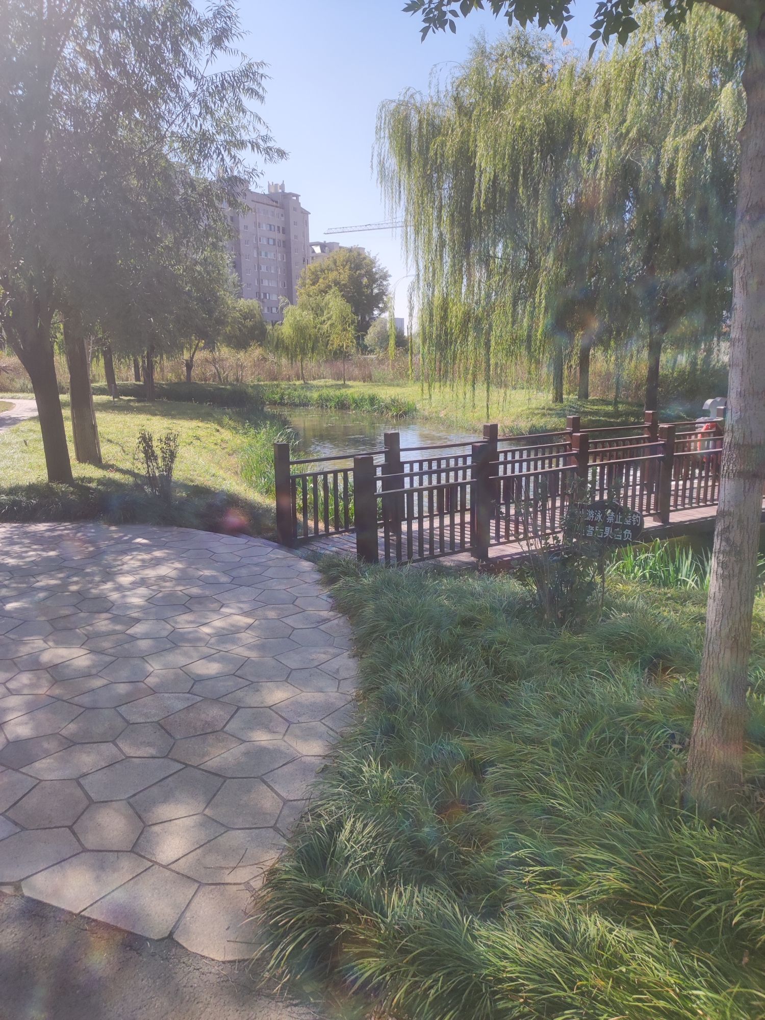 乌河入湖口湿地公园旅行图片 3