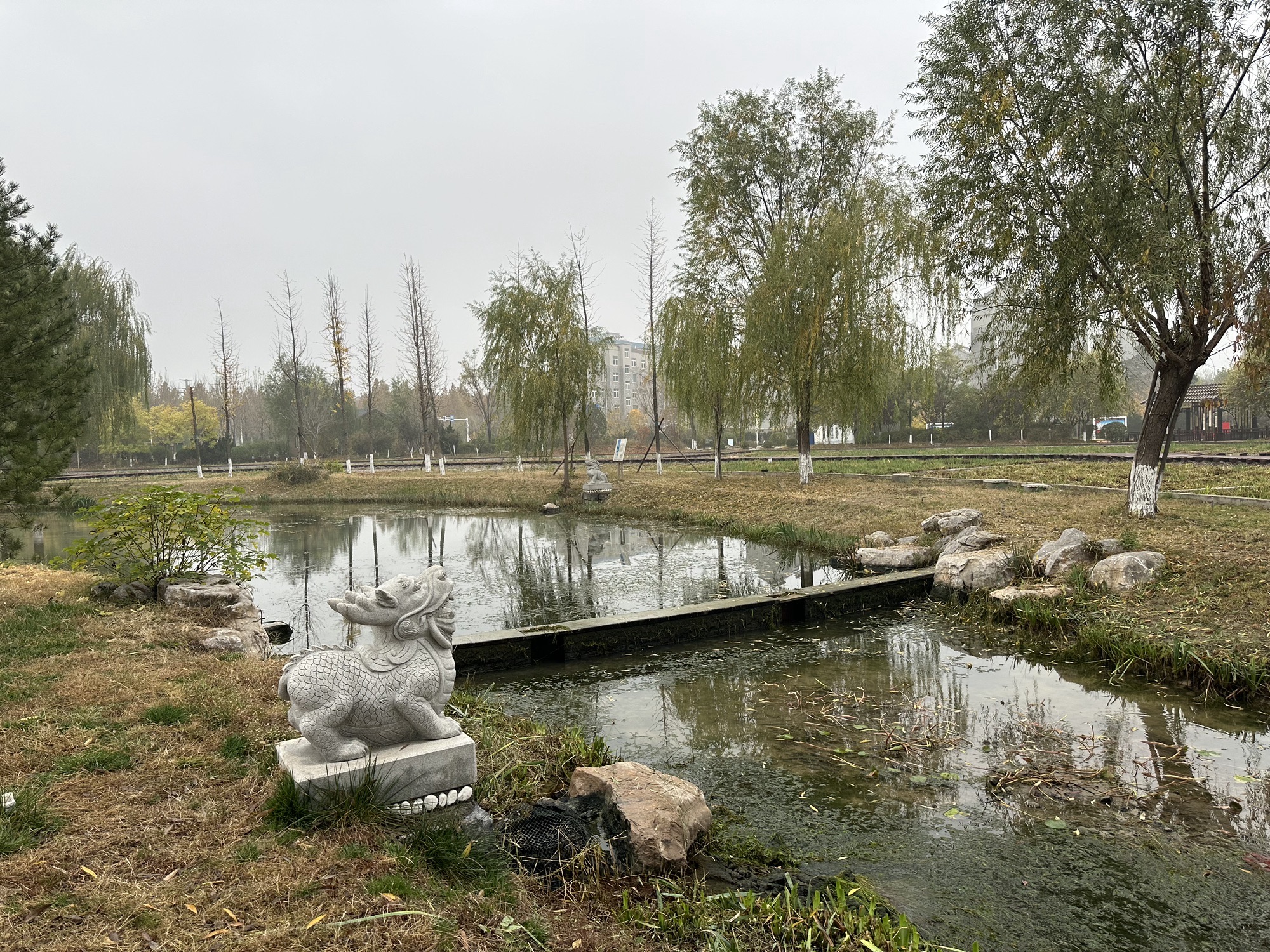 乌河入湖口湿地公园旅行图片 3