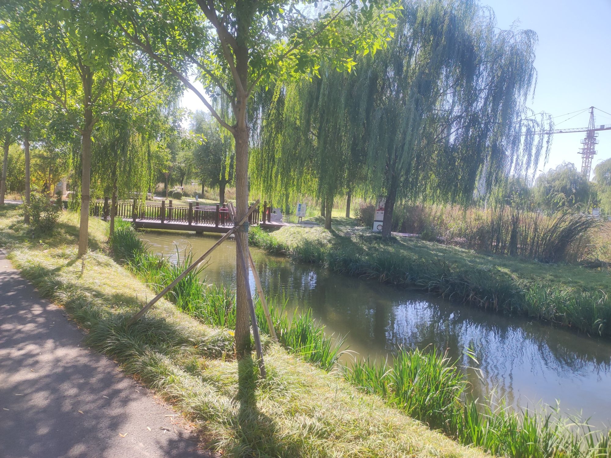 乌河入湖口湿地公园旅行图片 1