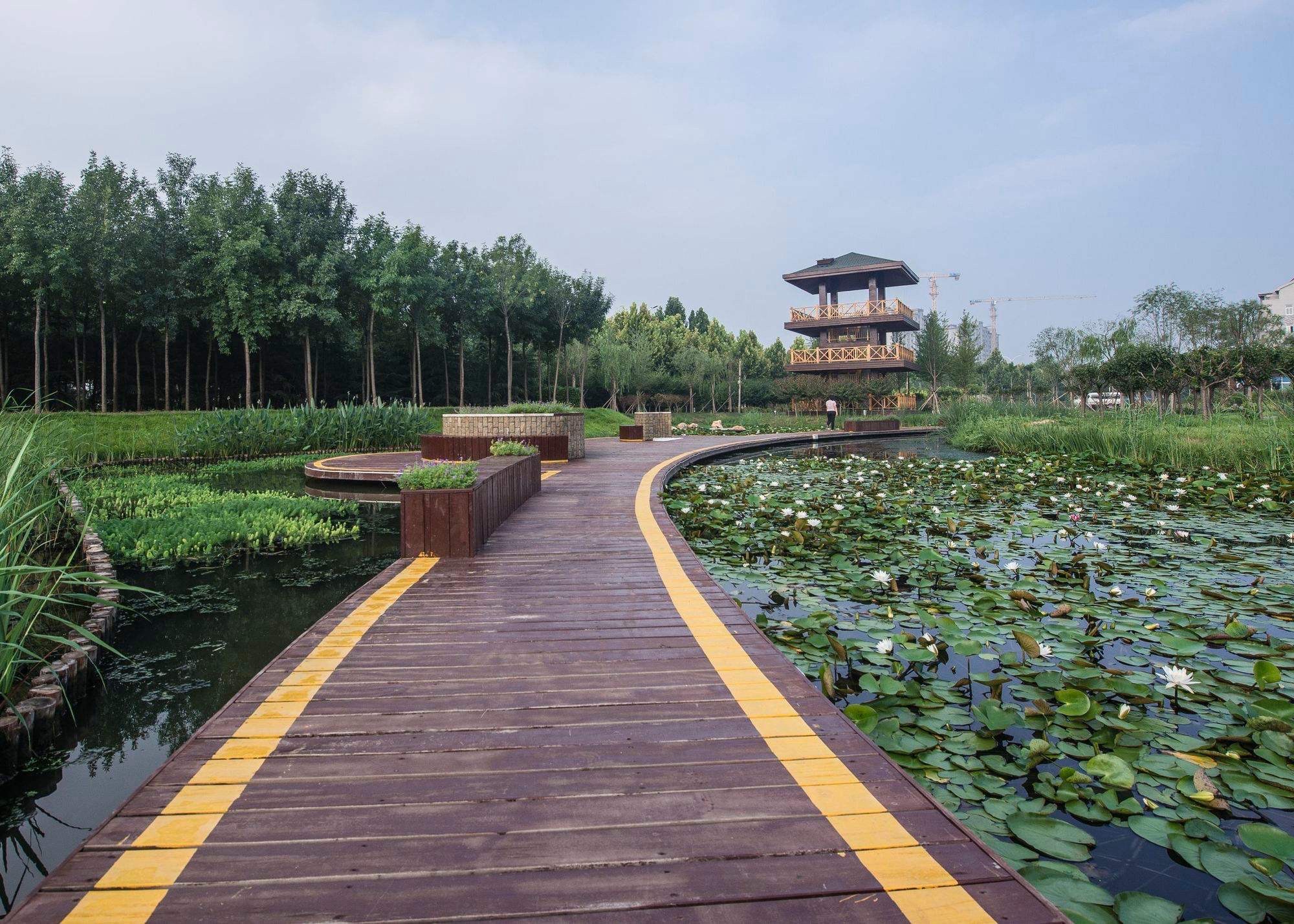 乌河入湖口湿地公园旅行图片 2