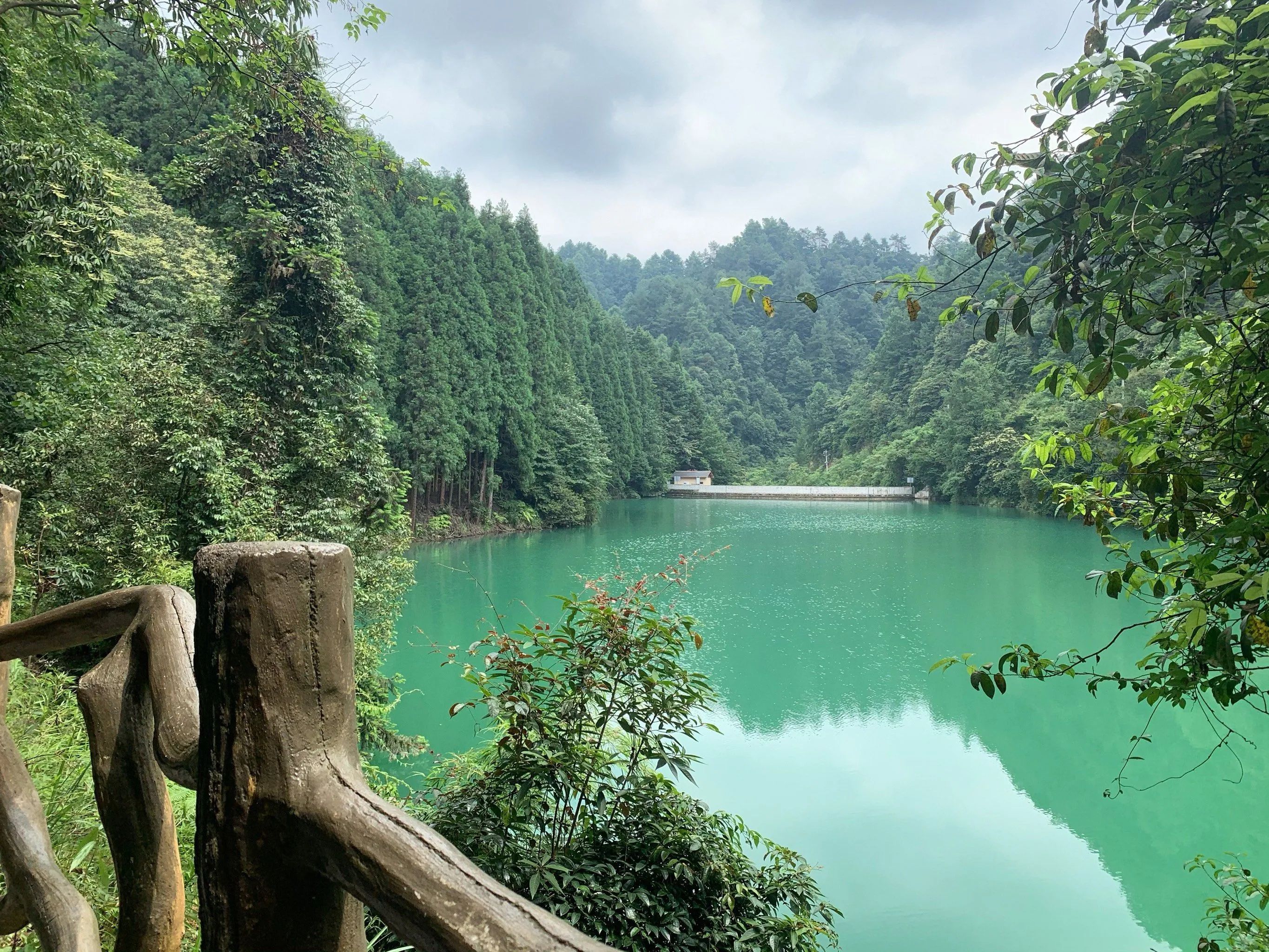 习水东风湖国家湿地公园旅行图片 2
