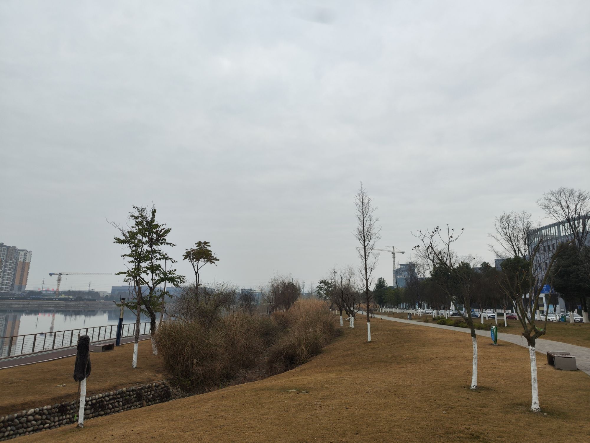 崇州明湖公园旅行图片 1