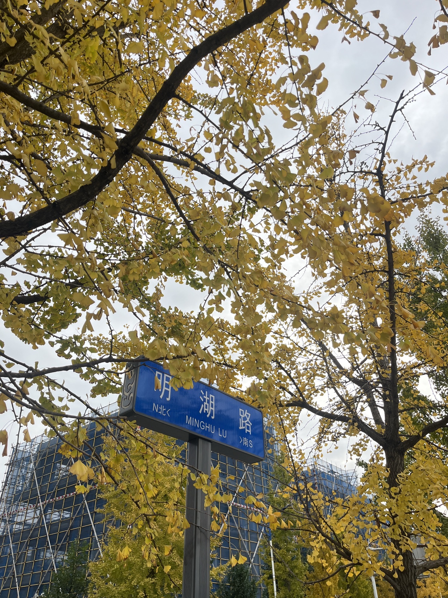 崇州明湖公园旅行图片 3