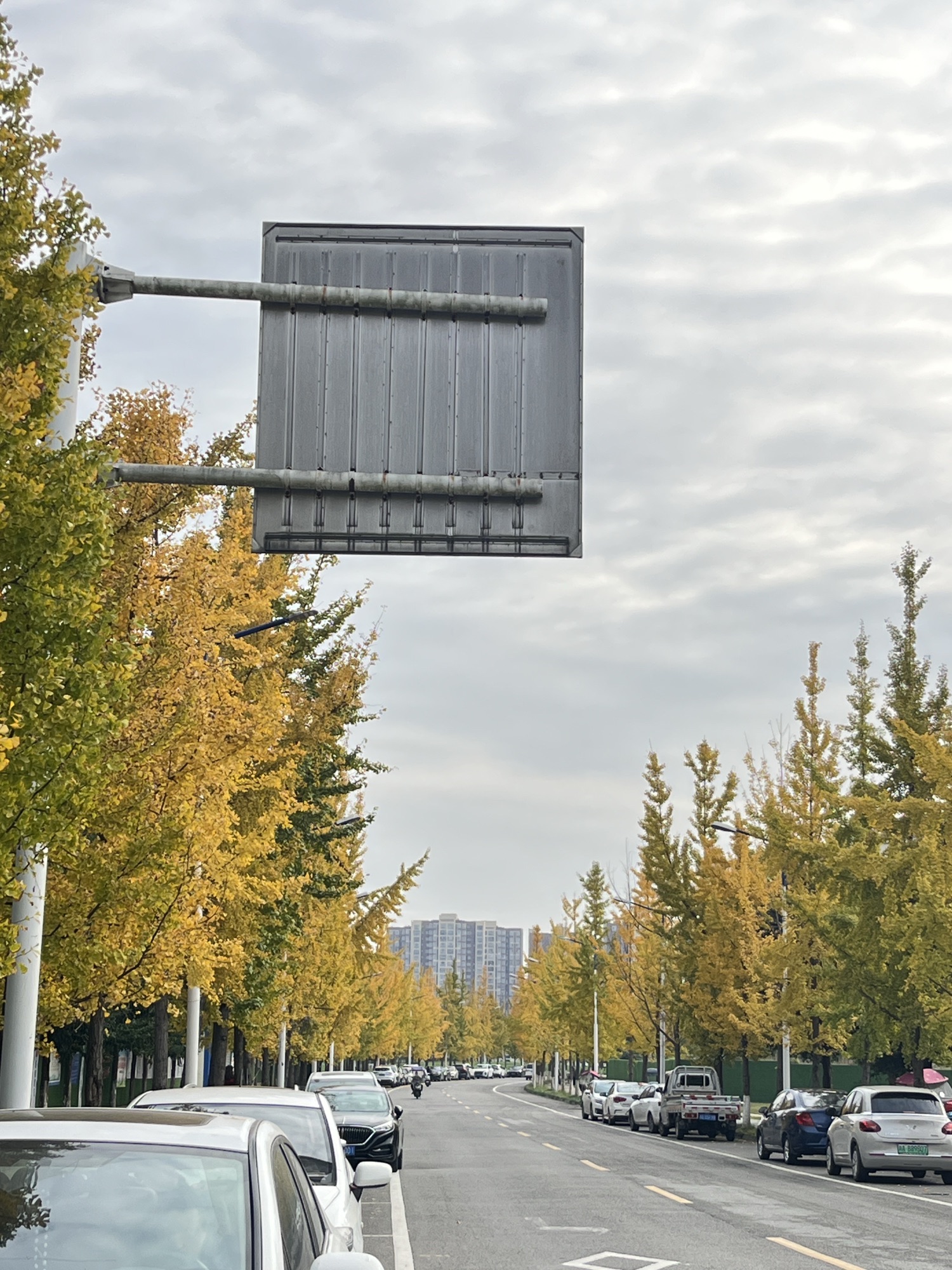 崇州明湖公园旅行图片 1