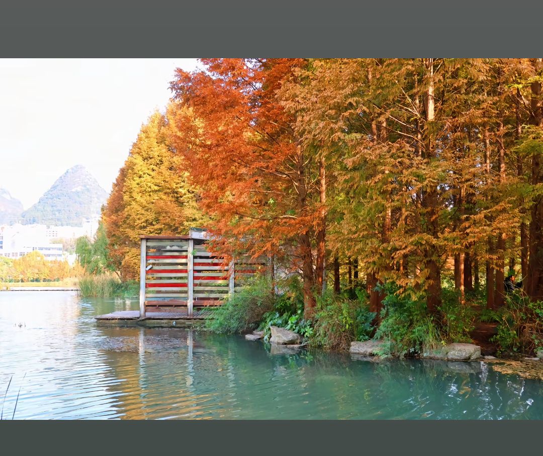 崇州明湖公园旅行图片 2