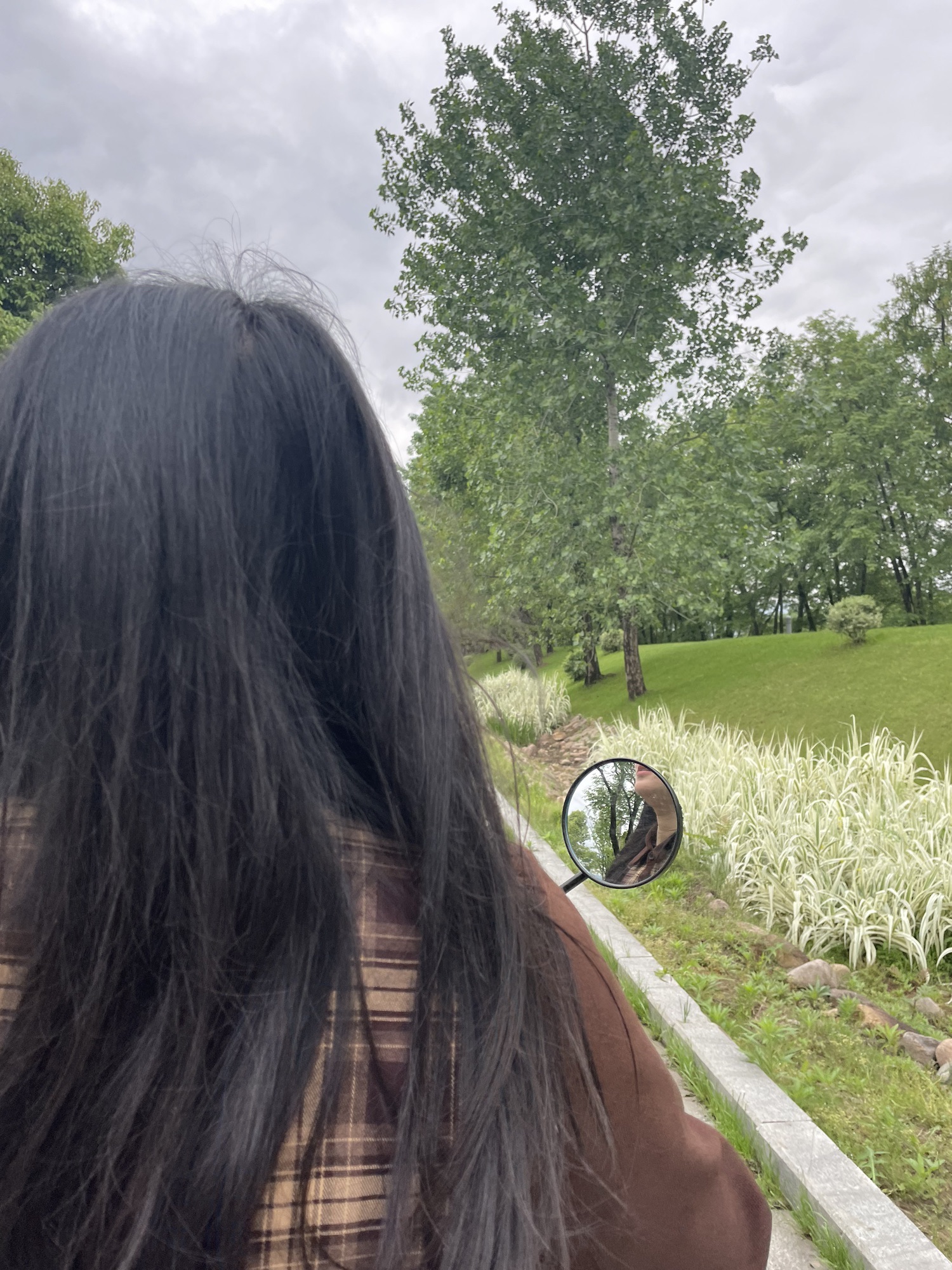 金沙溪湿地公园旅行图片 3