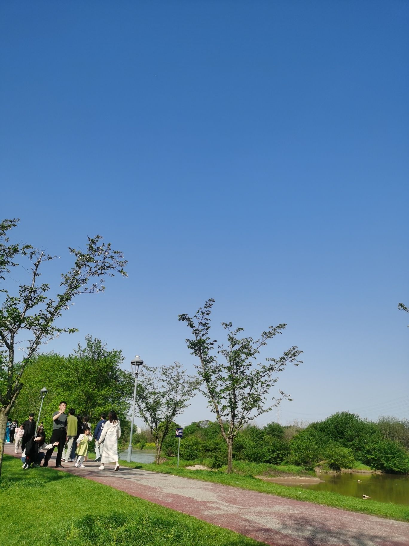 金沙溪湿地公园旅行图片 3