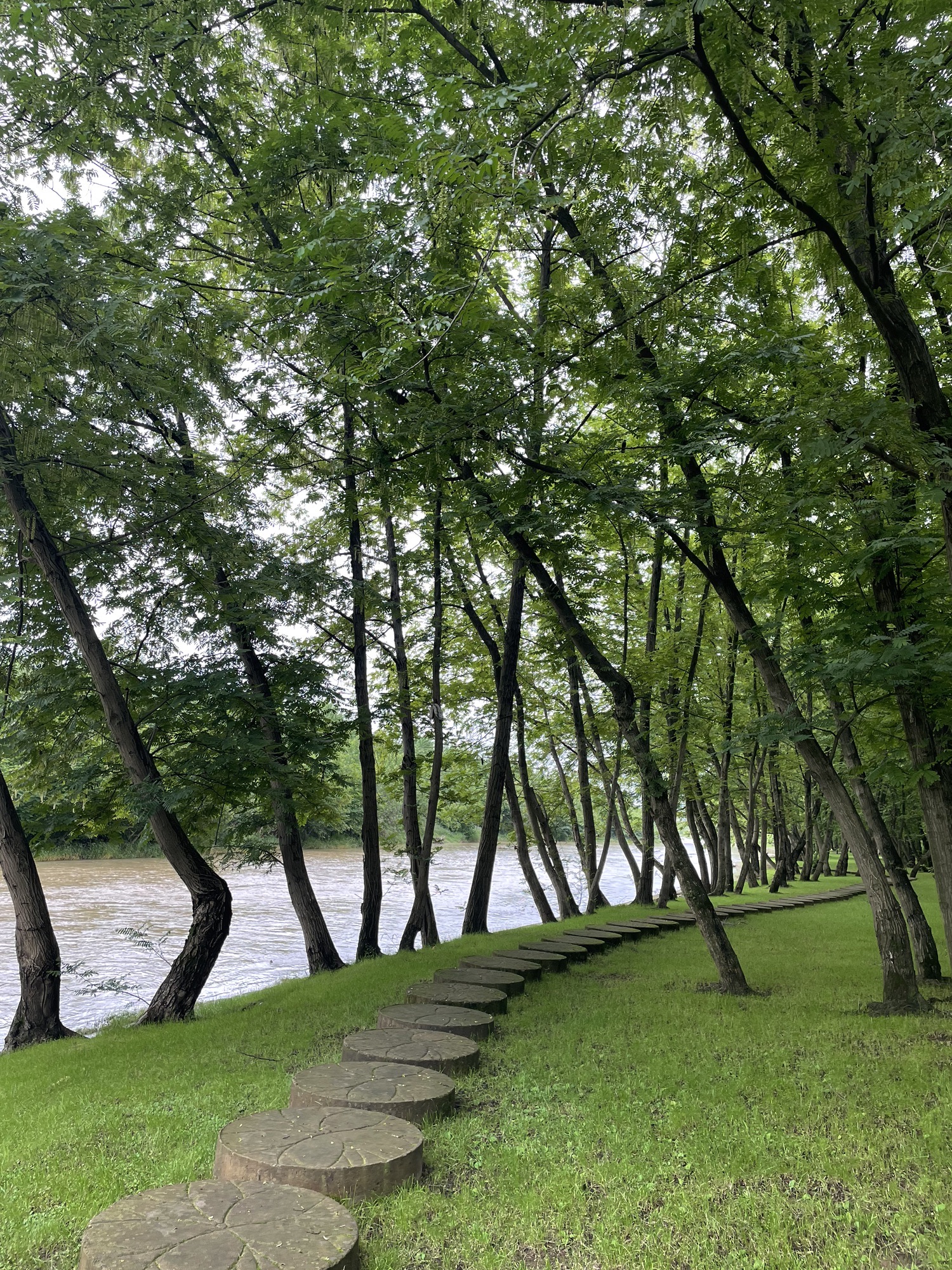 金沙溪湿地公园