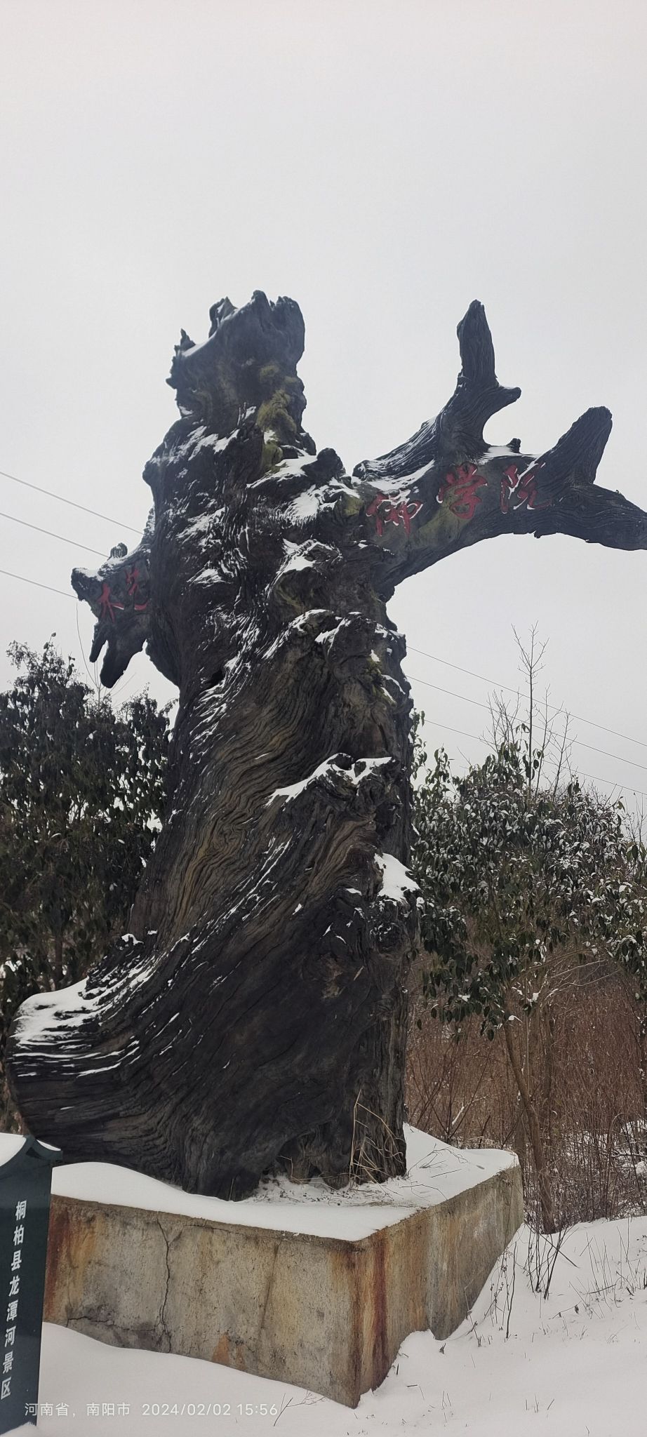 东方神木园旅行图片 1