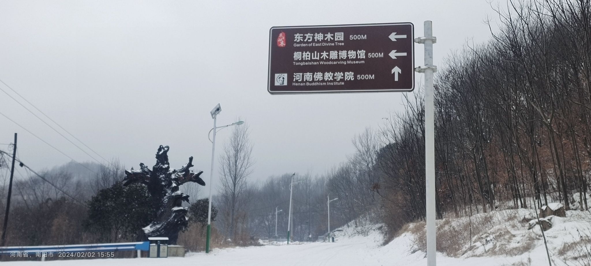 东方神木园旅行图片 3
