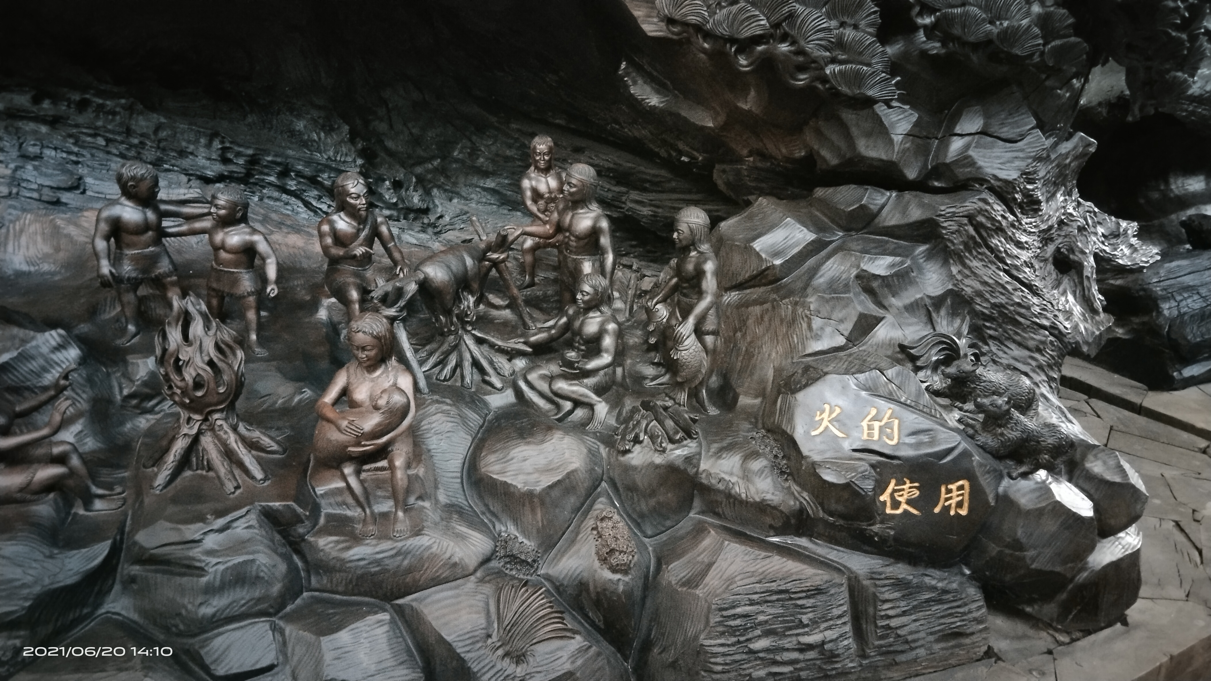 东方神木园旅行图片 3