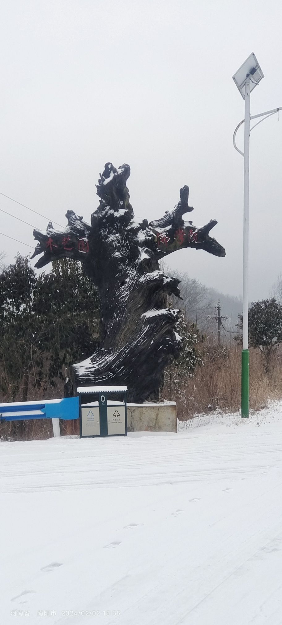 东方神木园旅行图片 2