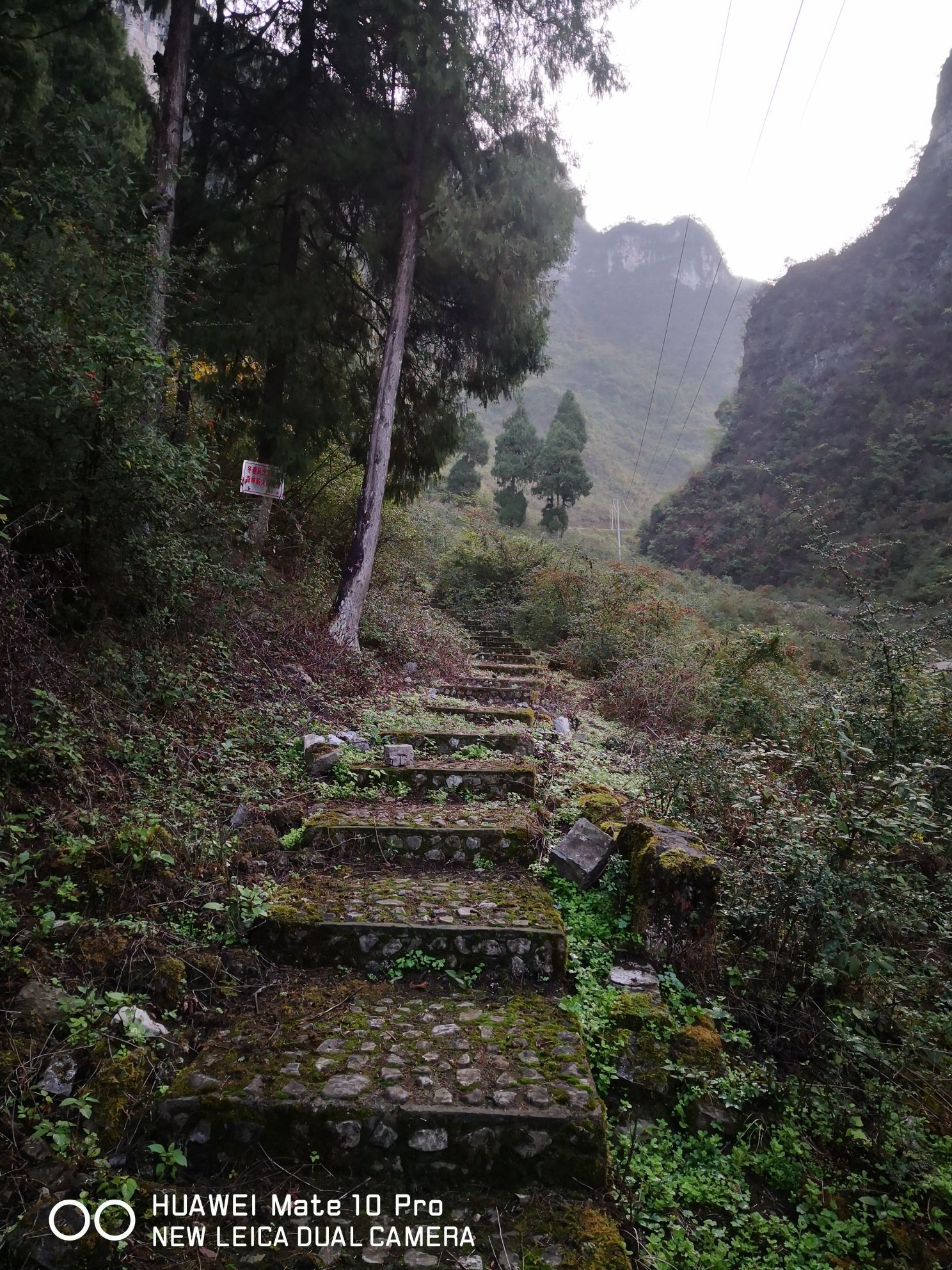 五峰岭旅行图片 3